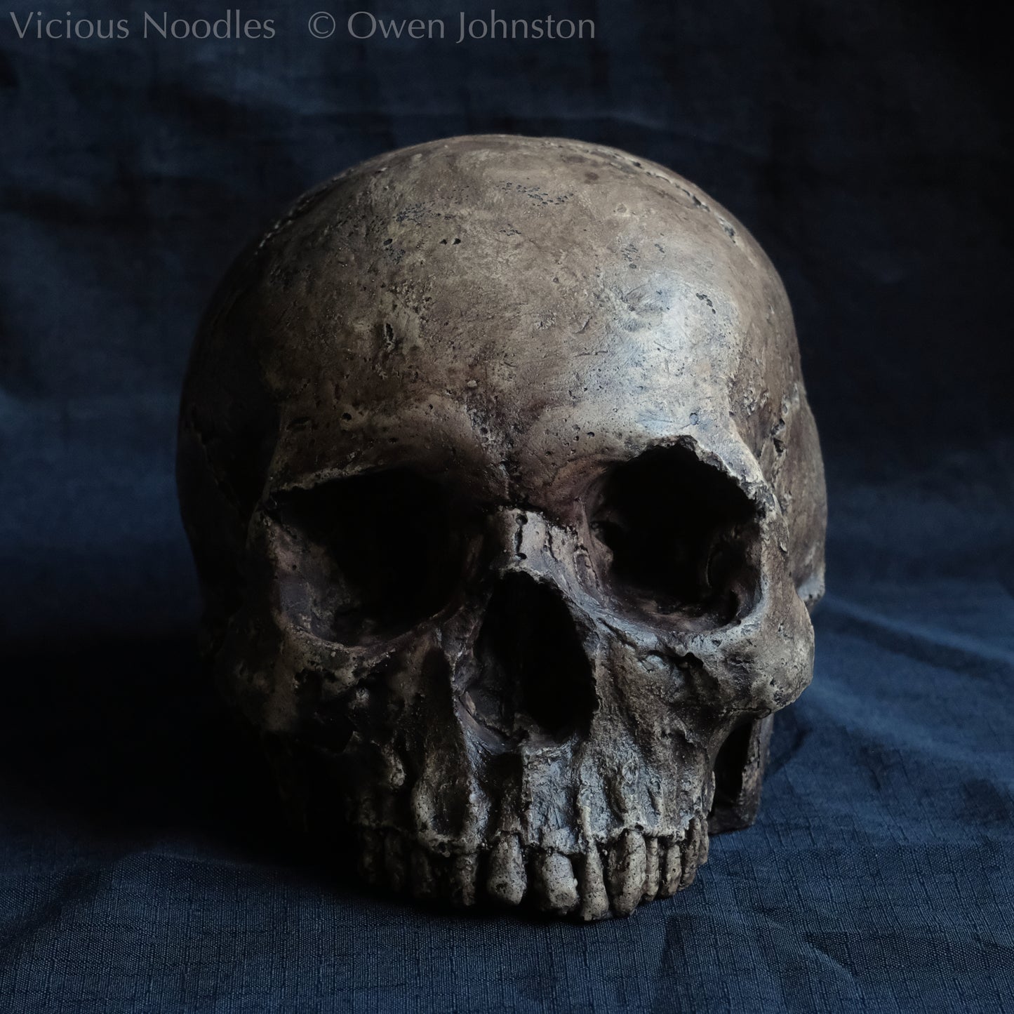 Human skull replica without jaw, life size, resembles an ancient fossil. Shades of dark brown in colour, the surface is distressed in some areas, finished with lacquer.