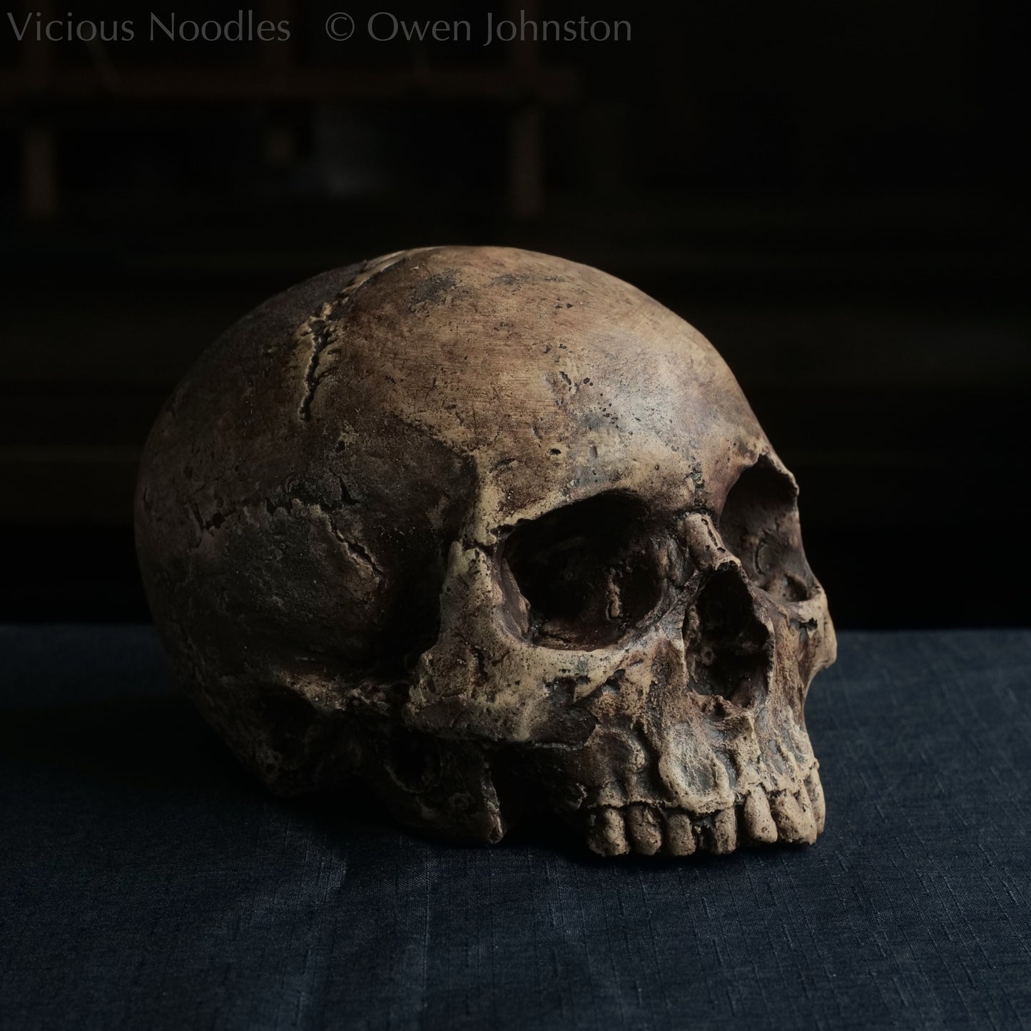 Life size human skull replica without jaw made to look like an ancient fossil, colour is various shades of brown and some areas are lightly distressed.