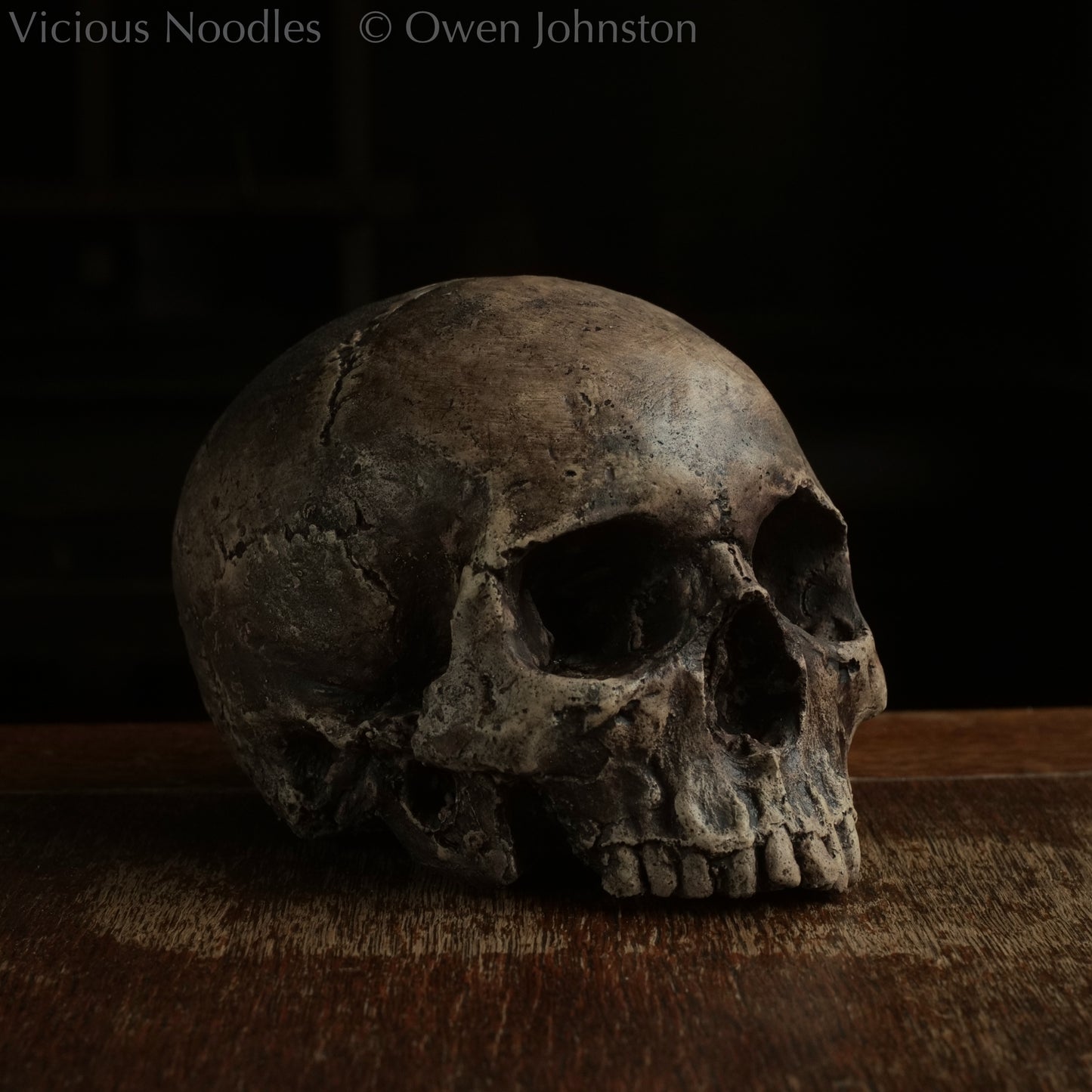 Life size human skull replica without jaw made to look like an ancient fossil, colour is various shades of brown and some areas are lightly distressed.