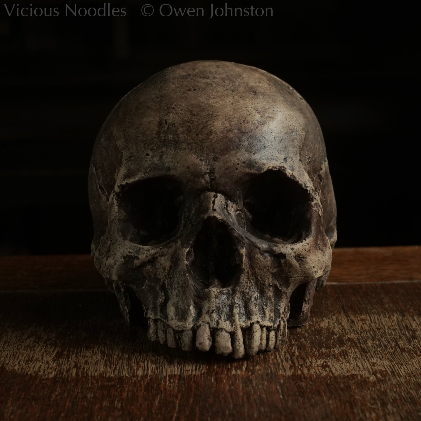 Life size human skull replica without jaw made to look like an ancient fossil, colour is various shades of brown and some areas are lightly distressed.