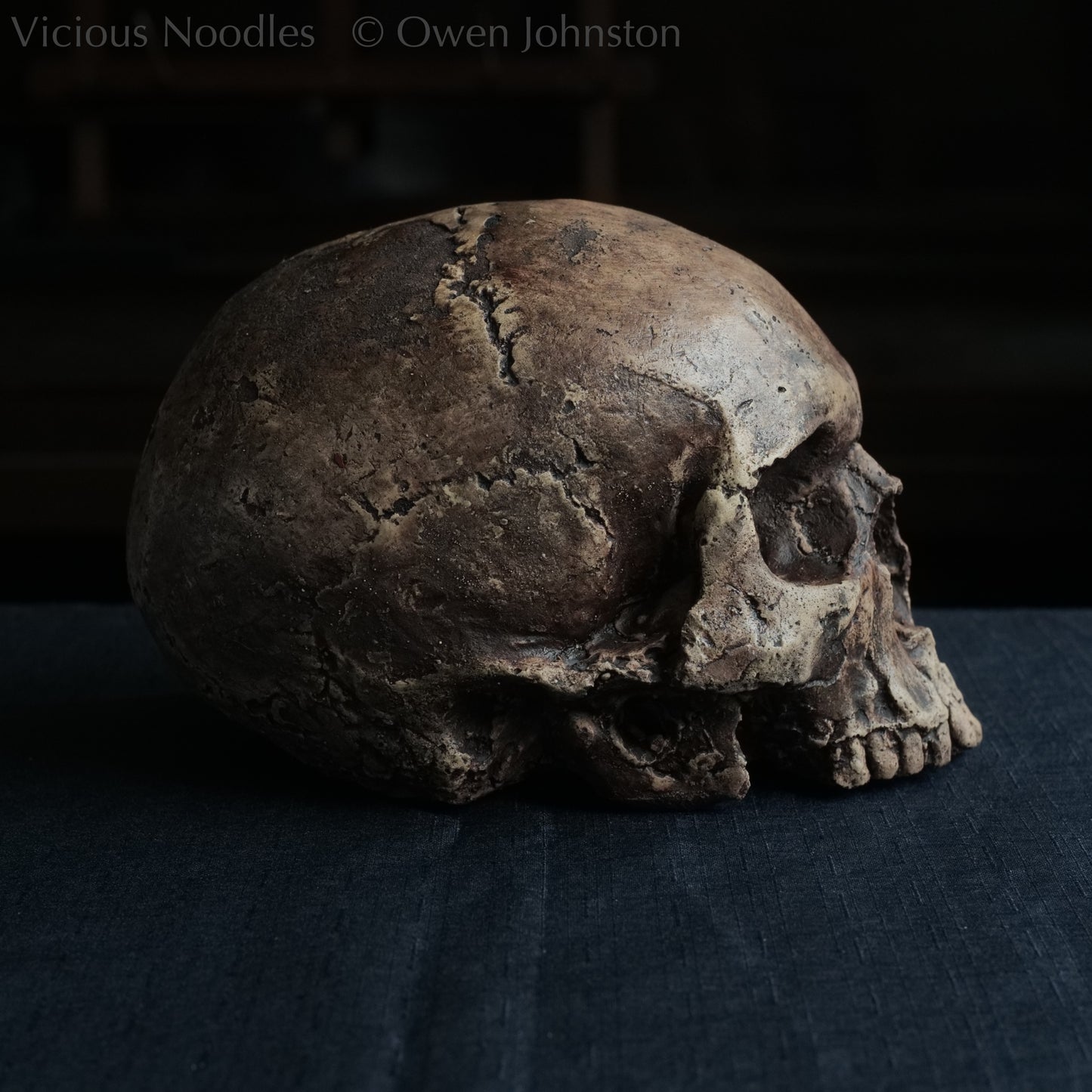 Life size human skull replica without jaw made to look like an ancient fossil, colour is various shades of brown and some areas are lightly distressed.