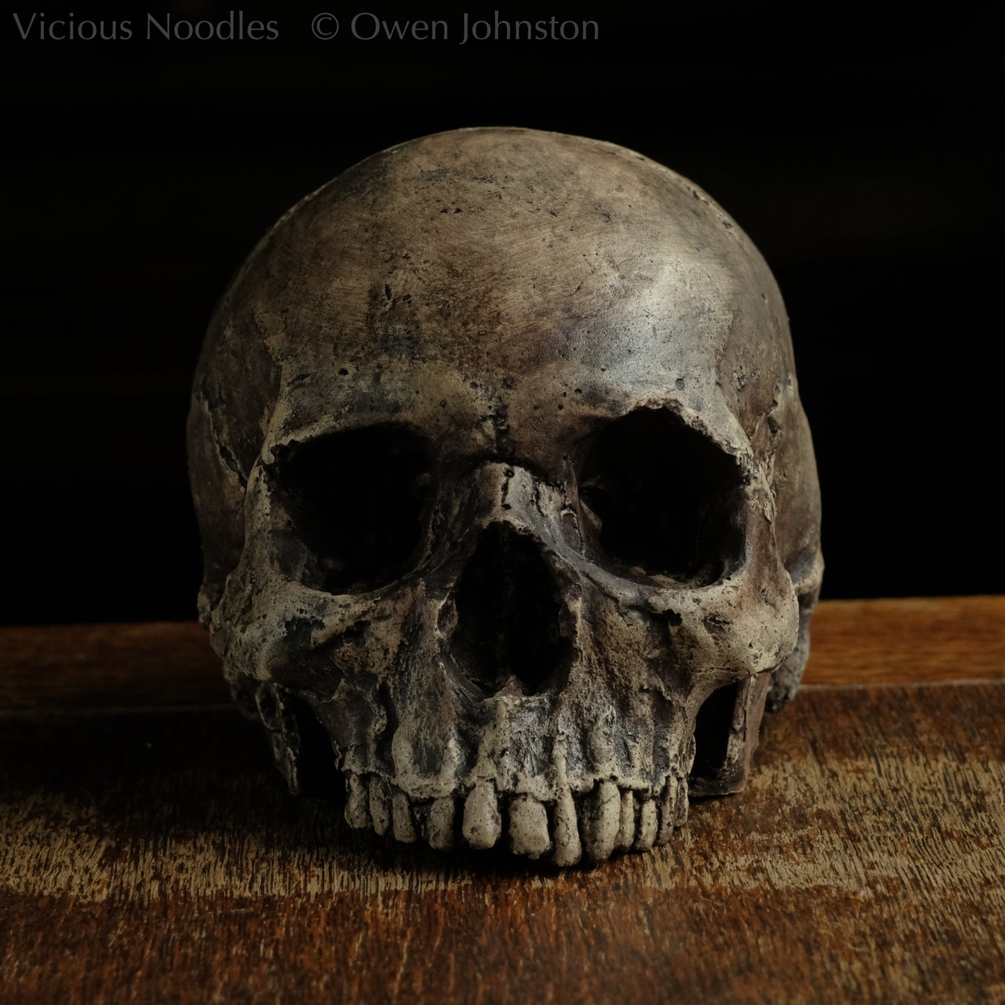 Life size human skull replica without jaw made to look like an ancient fossil, colour is various shades of brown and some areas are lightly distressed. Finished with lacquer.