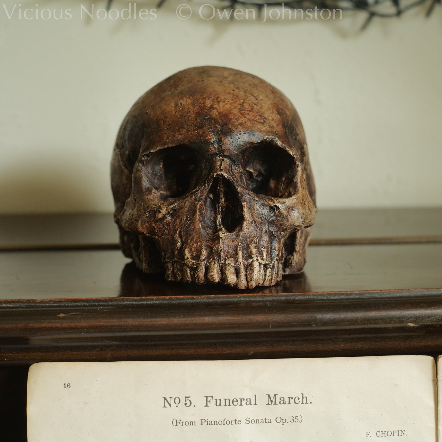 Human skull replica without jaw, life size, resembles an ancient fossil. Shades of reddish brown and dark brown in colour, finished with lacquer. It is sitting on top of a piano with sheet music for the Funeral March visible below.