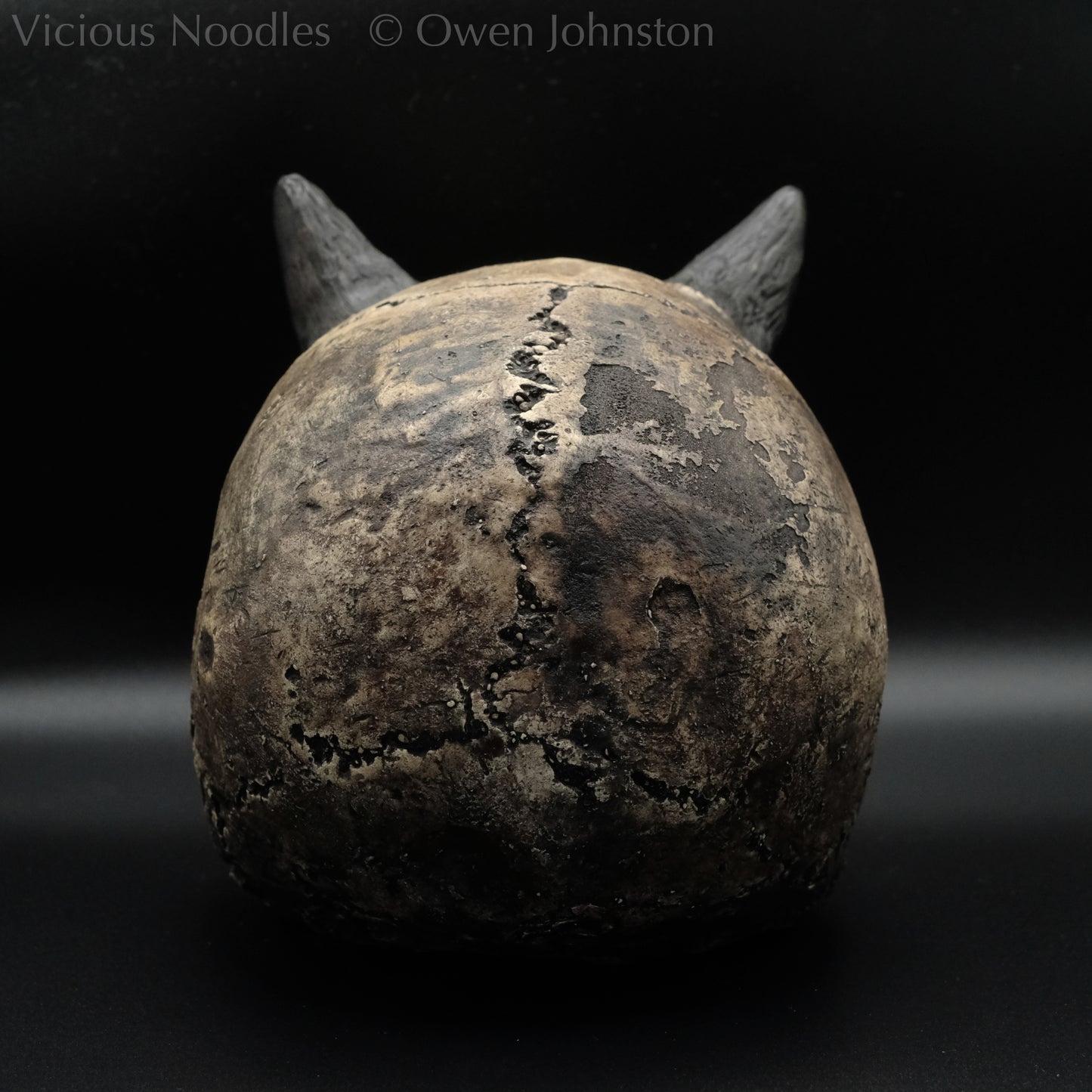 Human skull replica with short horns, life size, without lower jaw. Very weathered fossilised appearance with dark brown and black weathering over a warm ivory bone colour. The surface is damaged and distressed.