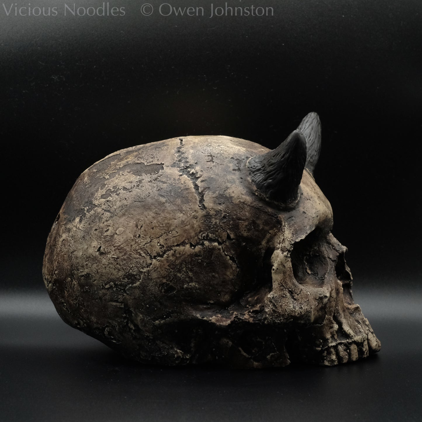 Human skull replica with short horns, life size, without lower jaw. Very weathered fossilised appearance with dark brown and black weathering over a warm ivory bone colour. The surface is damaged and distressed.