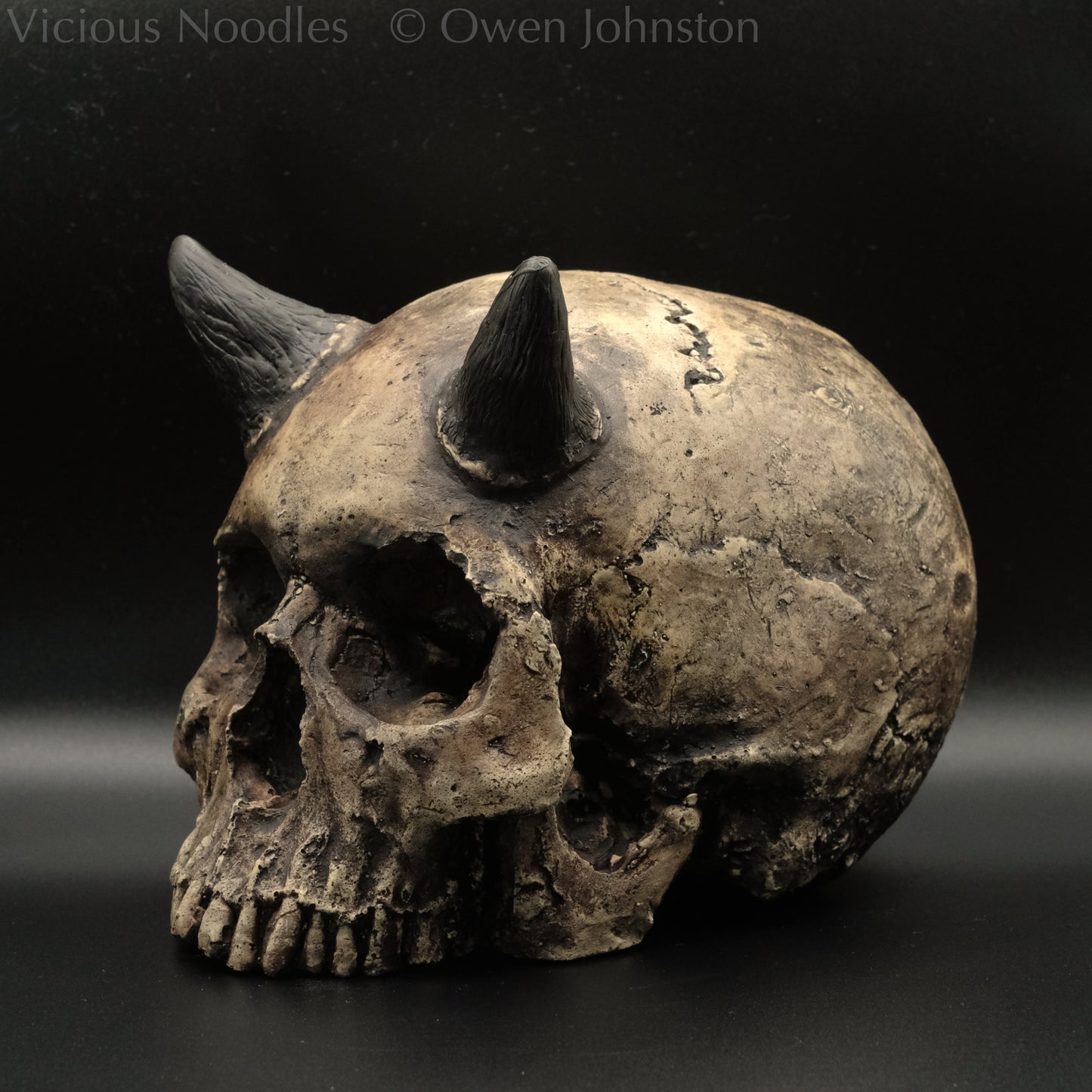 Human skull replica with short horns, life size, without lower jaw. Very weathered fossilised appearance with dark brown and black weathering over a warm ivory bone colour. The surface is damaged and distressed.