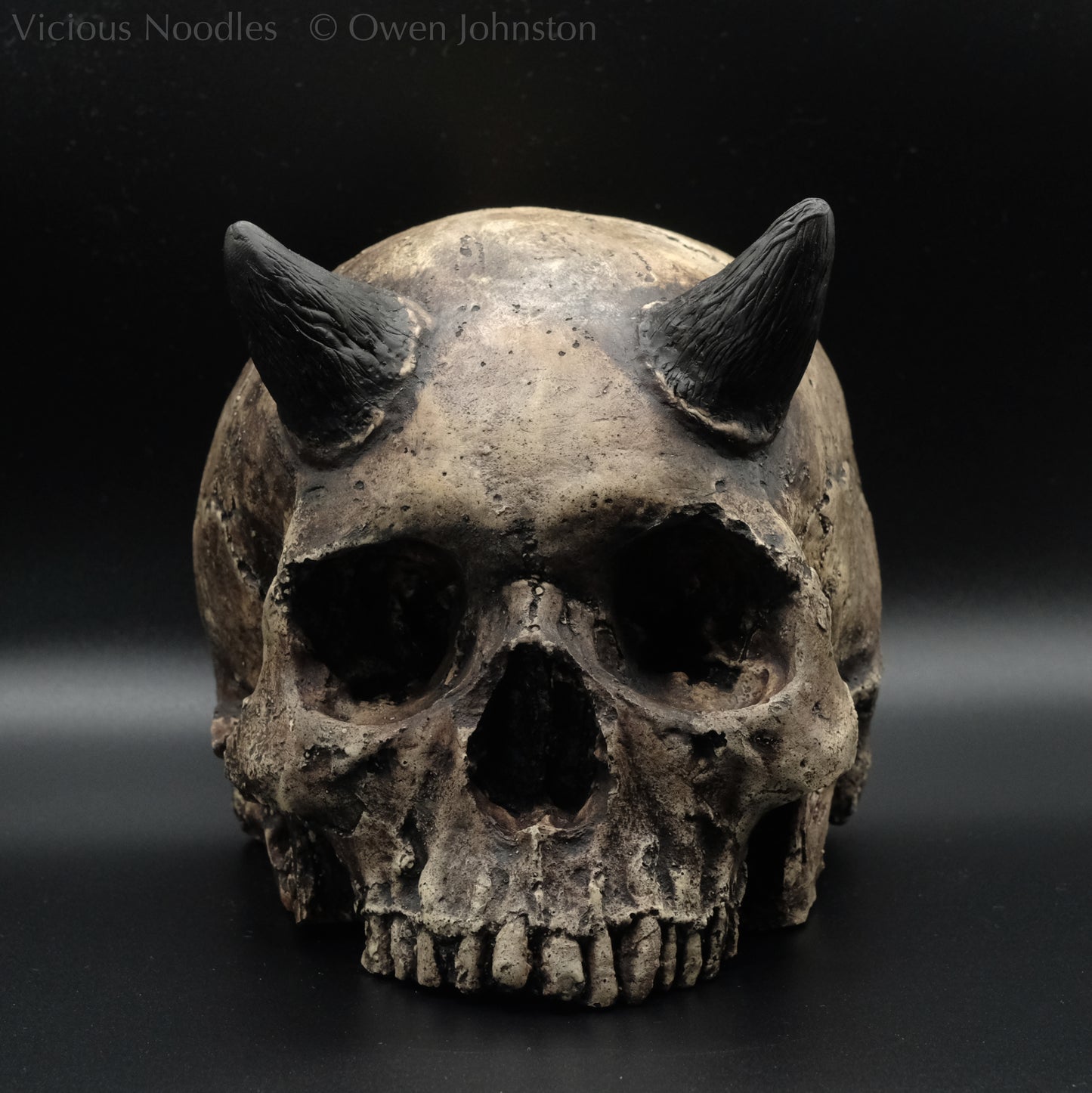 Human skull replica with short horns, life size, without lower jaw. Very weathered fossilised appearance with dark brown and black weathering over a warm ivory bone colour. The surface is damaged and distressed.