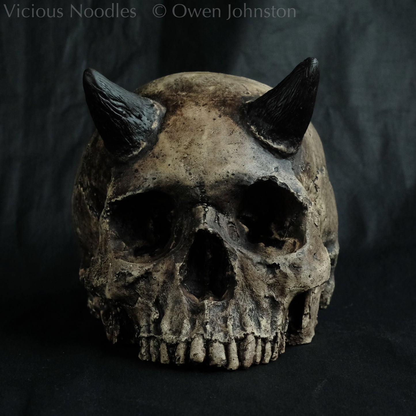 Human skull replica with short horns, life size, without lower jaw. Very weathered fossilised appearance with dark brown and black weathering over a warm ivory bone colour. The surface is damaged and distressed.
