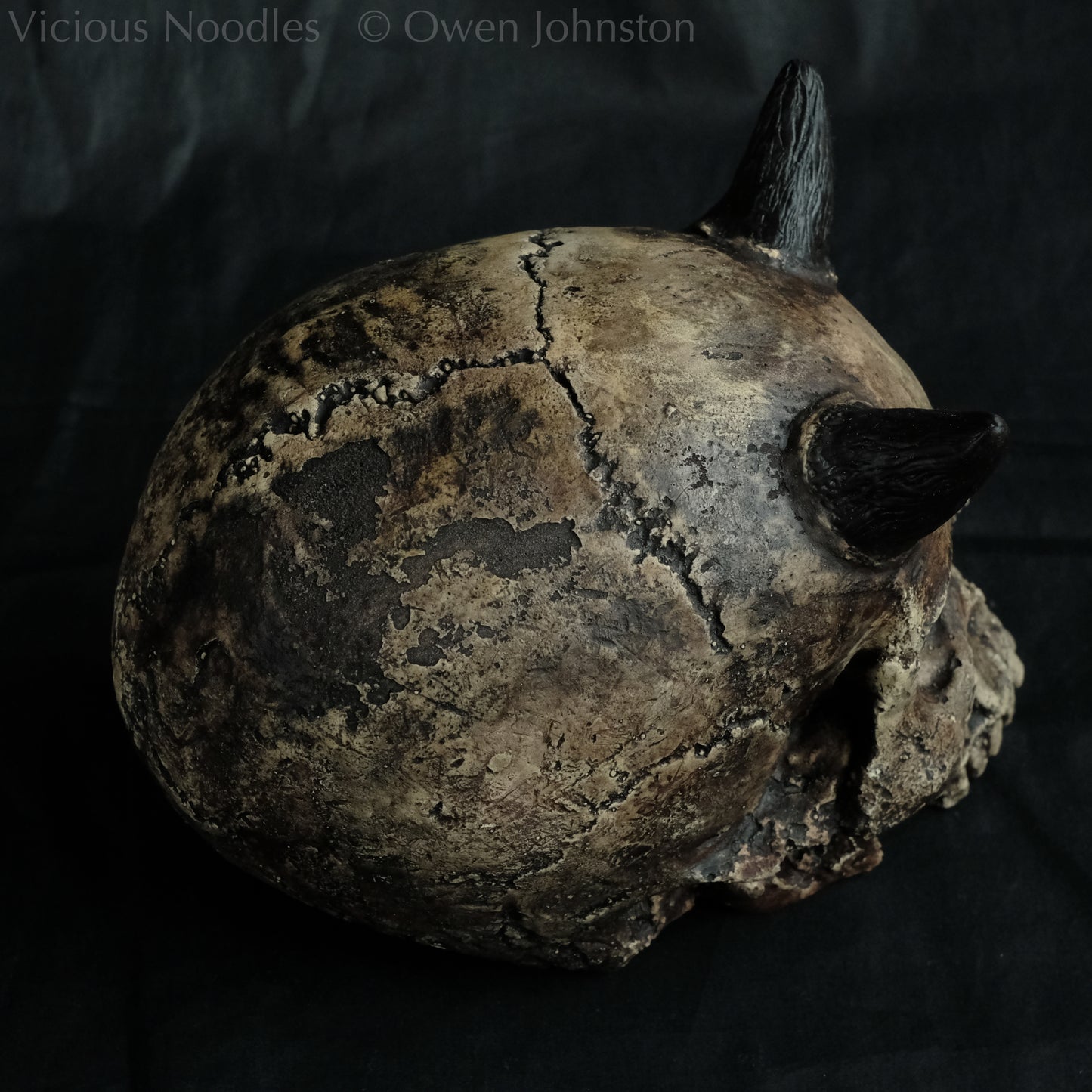 Human skull replica with short horns, life size, without lower jaw. Very weathered fossilised appearance with dark brown and black weathering over a warm ivory bone colour. The surface is damaged and distressed.