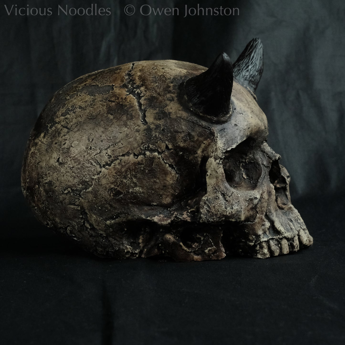Human skull replica with short horns, life size, without lower jaw. Very weathered fossilised appearance with dark brown and black weathering over a warm ivory bone colour. The surface is damaged and distressed.