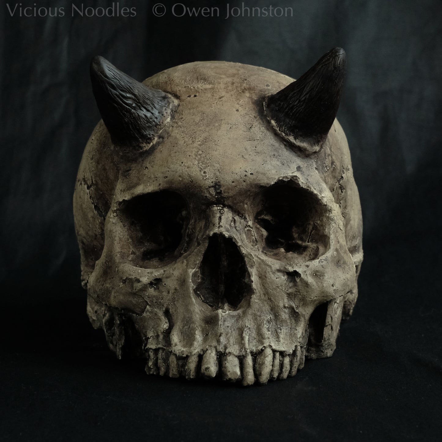 Horned human skull replica without jaw, life size, warm ivory bone colour with dark weathering, finished with lacquer.