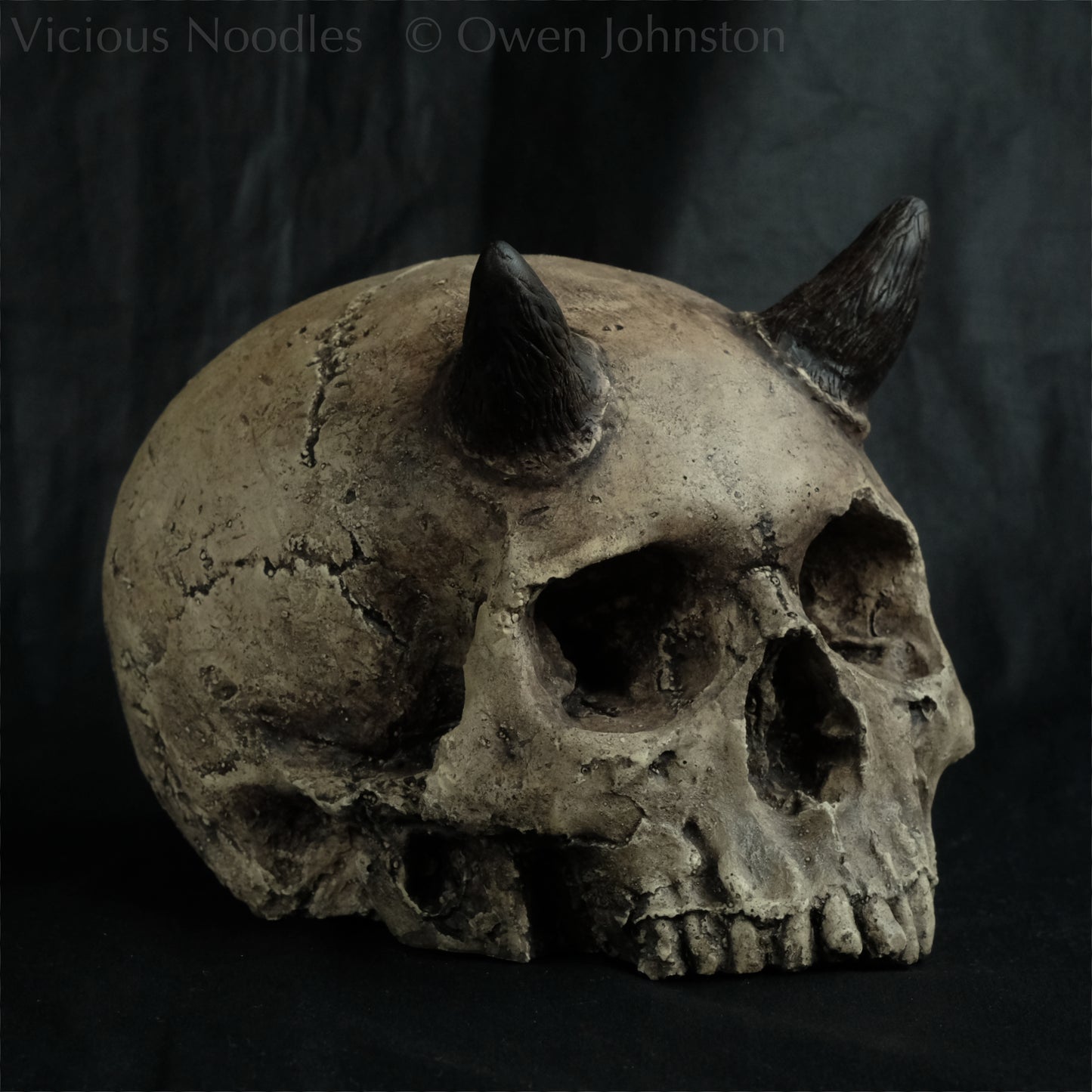 Human skull replica with short horns, life size, without lower jaw. Warm ivory colour with dark weathering.