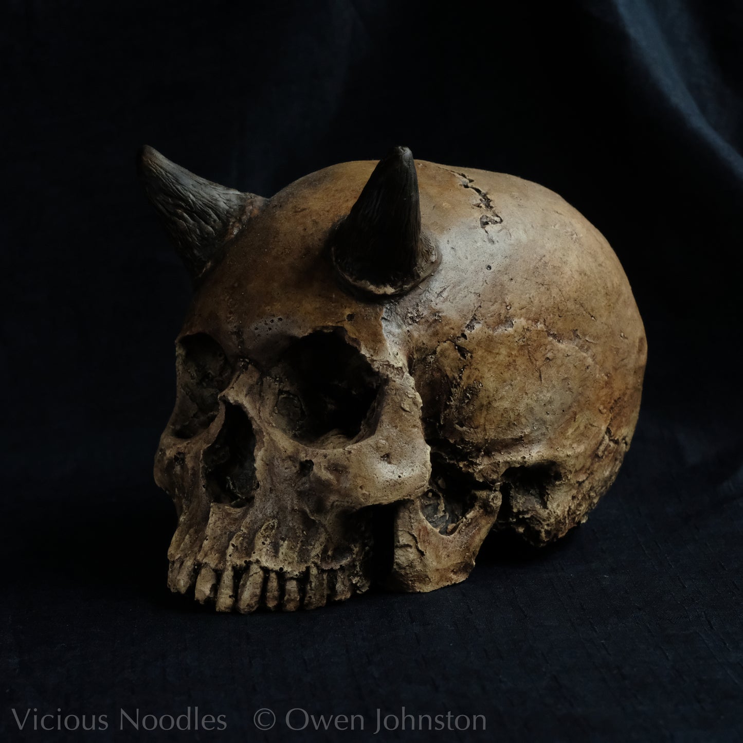 Human skull replica with short horns, life size, without lower jaw. Highly weathered brown finish.
