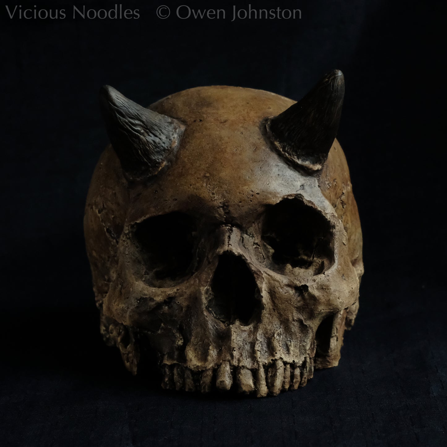 Human skull replica with short horns, life size, without lower jaw. Highly weathered brown finish.