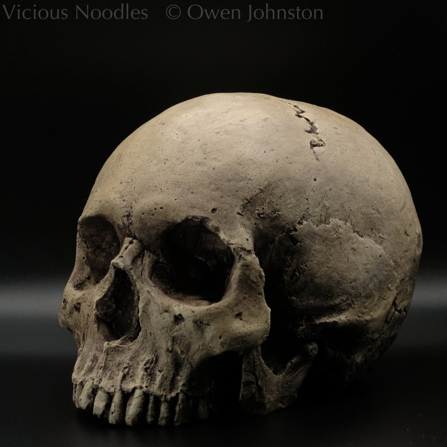 Human skull replica without jaw, life size, warm ivory bone colour with dark weathering, finished with lacquer.