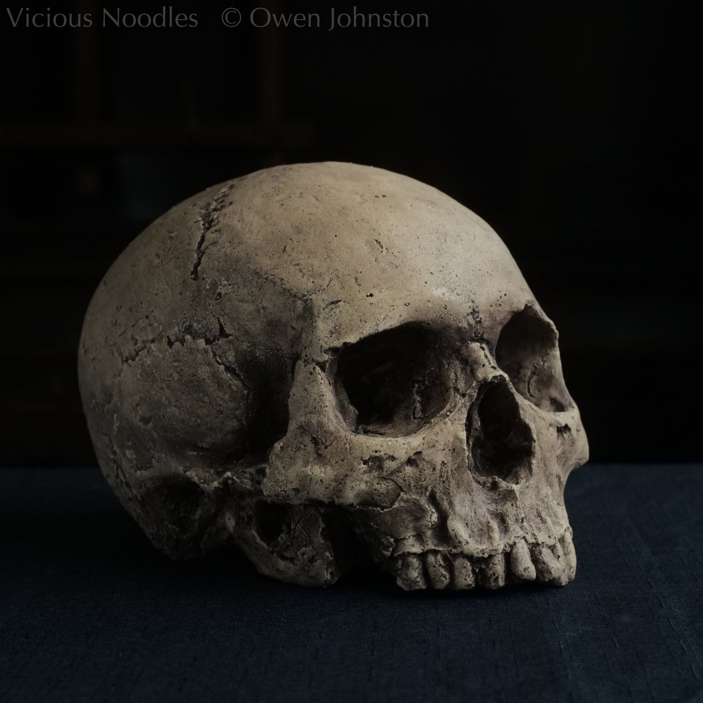 Human skull replica without jaw, life size, warm ivory bone colour with dark weathering, finished with lacquer.
