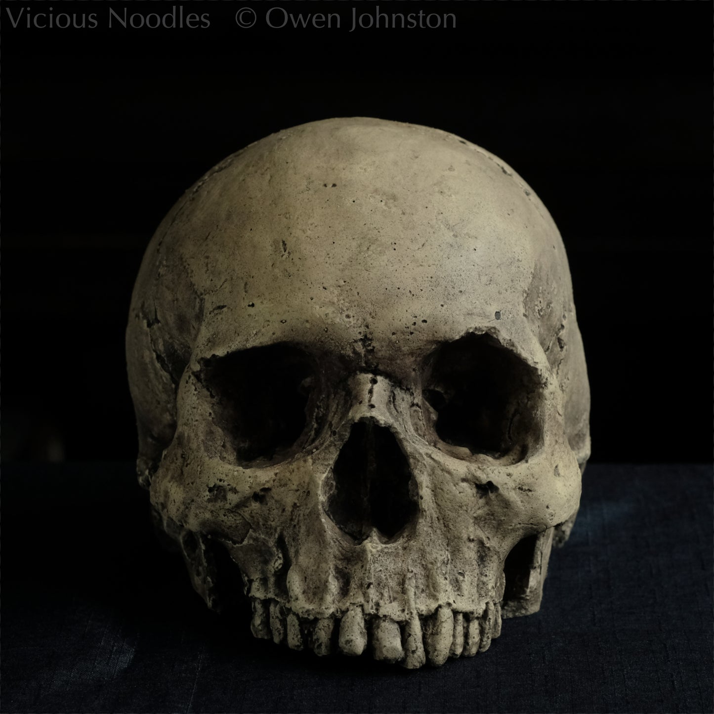 Human skull replica without jaw, life size, warm ivory bone colour with dark weathering, finished with lacquer.