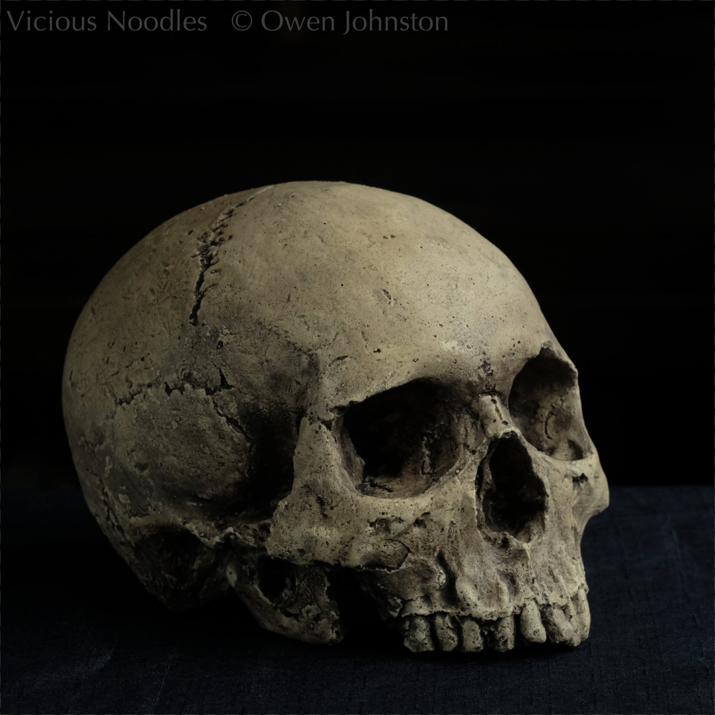 Human skull replica without jaw, life size, warm ivory bone colour with dark weathering, finished with lacquer.