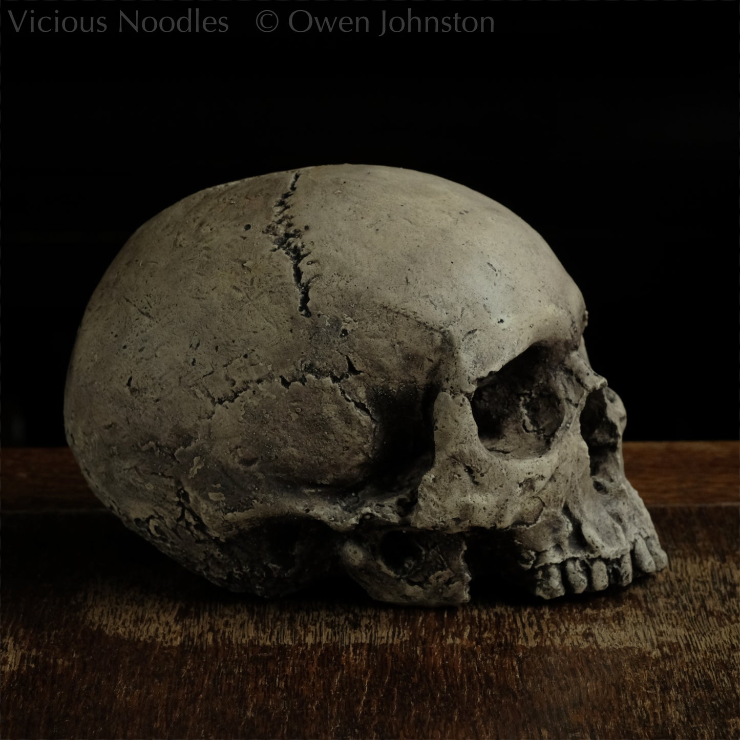 Human skull replica without jaw, life size, warm ivory bone colour with dark weathering, finished with lacquer.