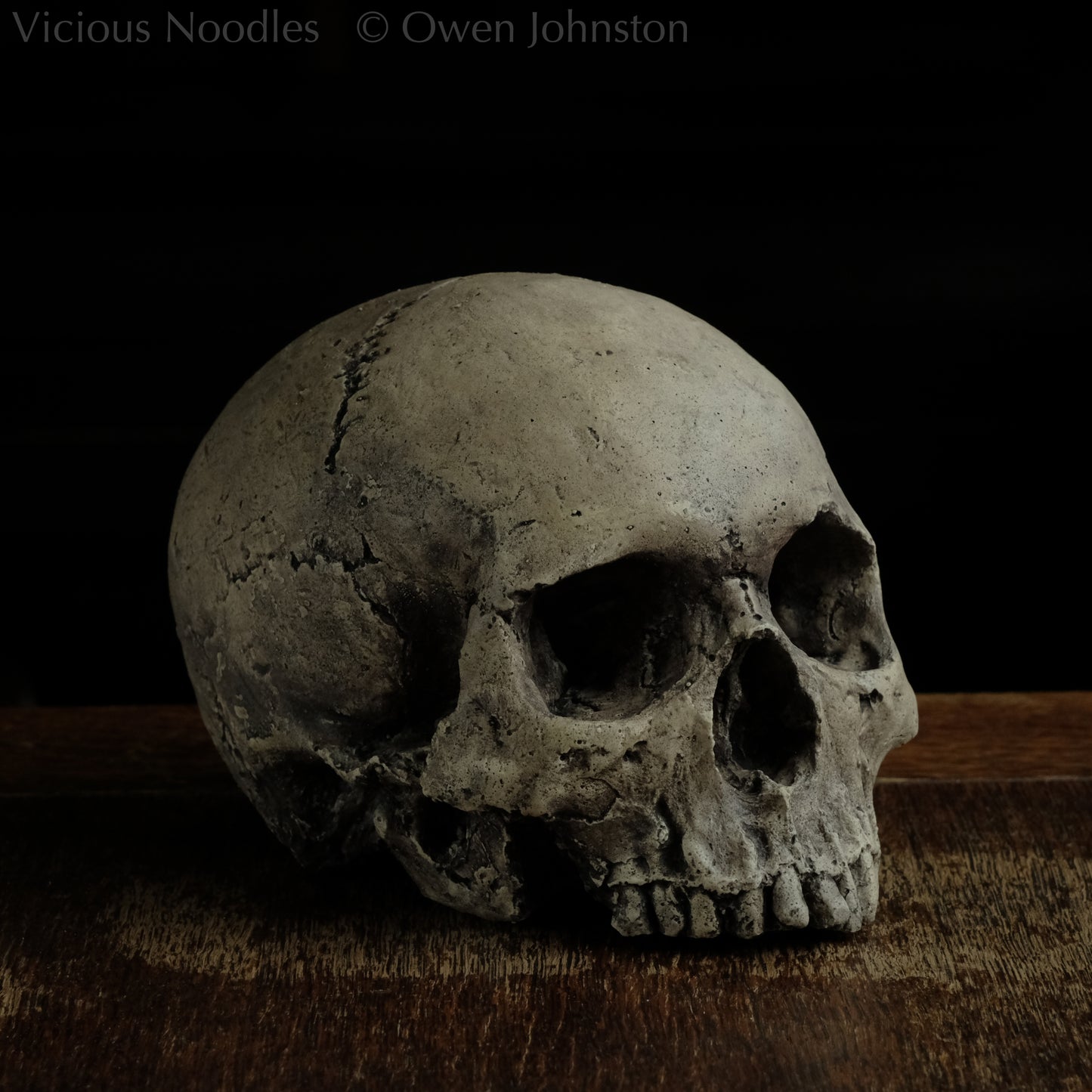 Human skull replica without jaw, life size, warm ivory bone colour with dark weathering, finished with lacquer.