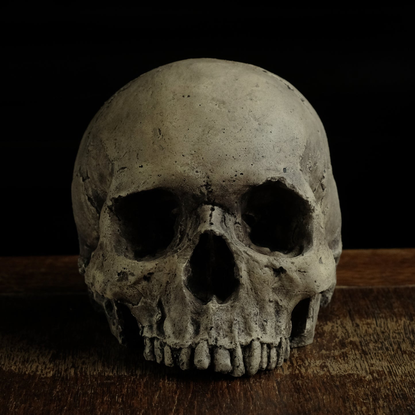 Human skull replica without jaw, life size, warm ivory bone colour with dark weathering, finished with lacquer.