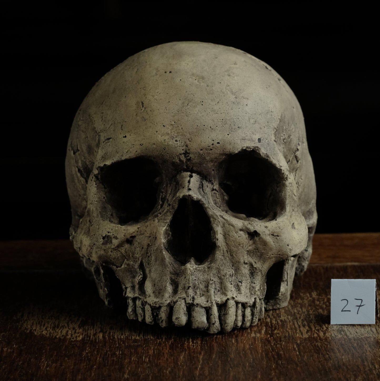 Human skull replica without jaw, life size, warm ivory bone colour with dark weathering, finished with lacquer.