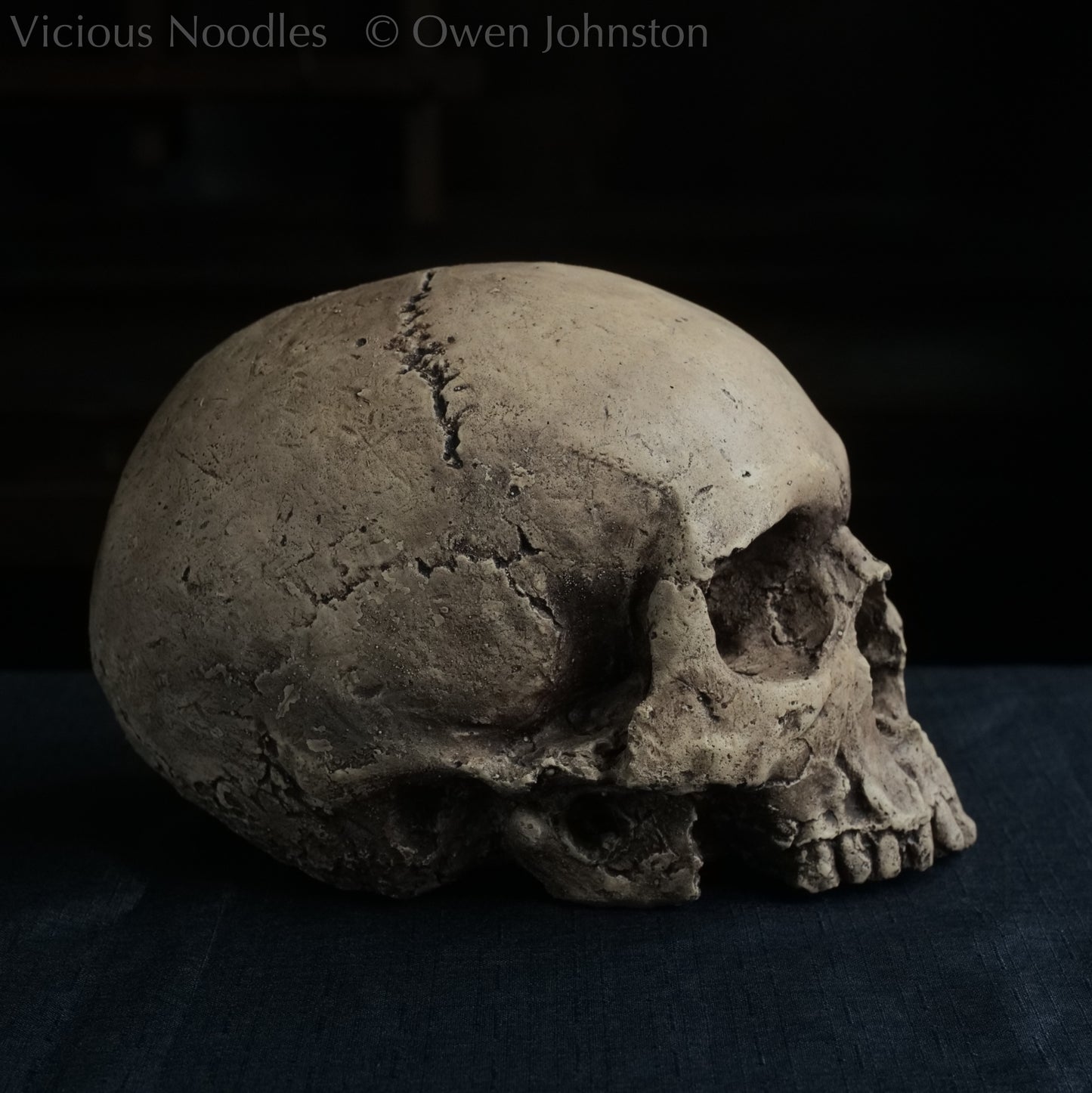 Human skull replica without jaw, life size, warm ivory bone colour with dark weathering, finished with lacquer.