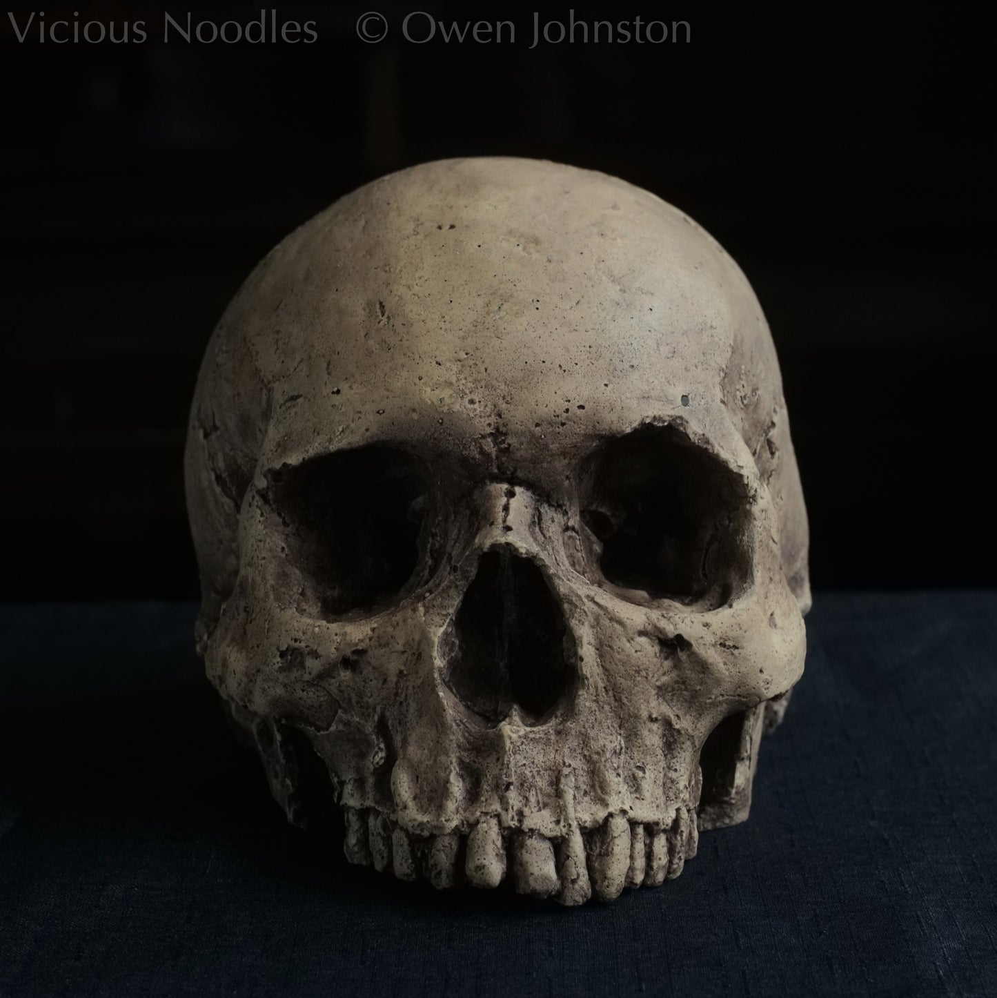 Human skull replica without jaw, life size, warm ivory bone colour with dark weathering, finished with lacquer.
