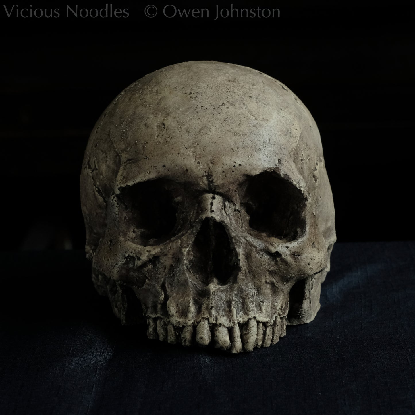 Human skull replica without jaw, life size, warm ivory bone colour with dark weathering, finished with lacquer.