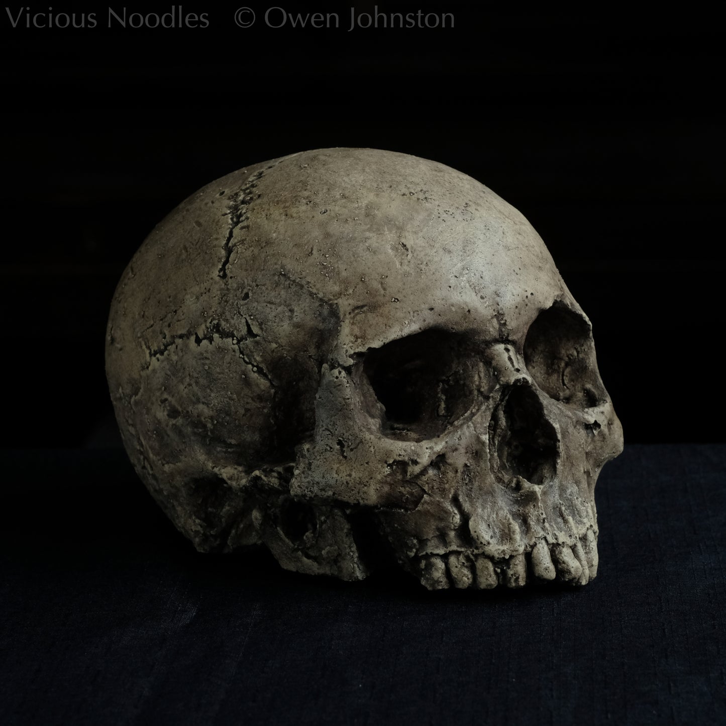 Human skull replica without jaw, life size, warm ivory bone colour with dark weathering, finished with lacquer.