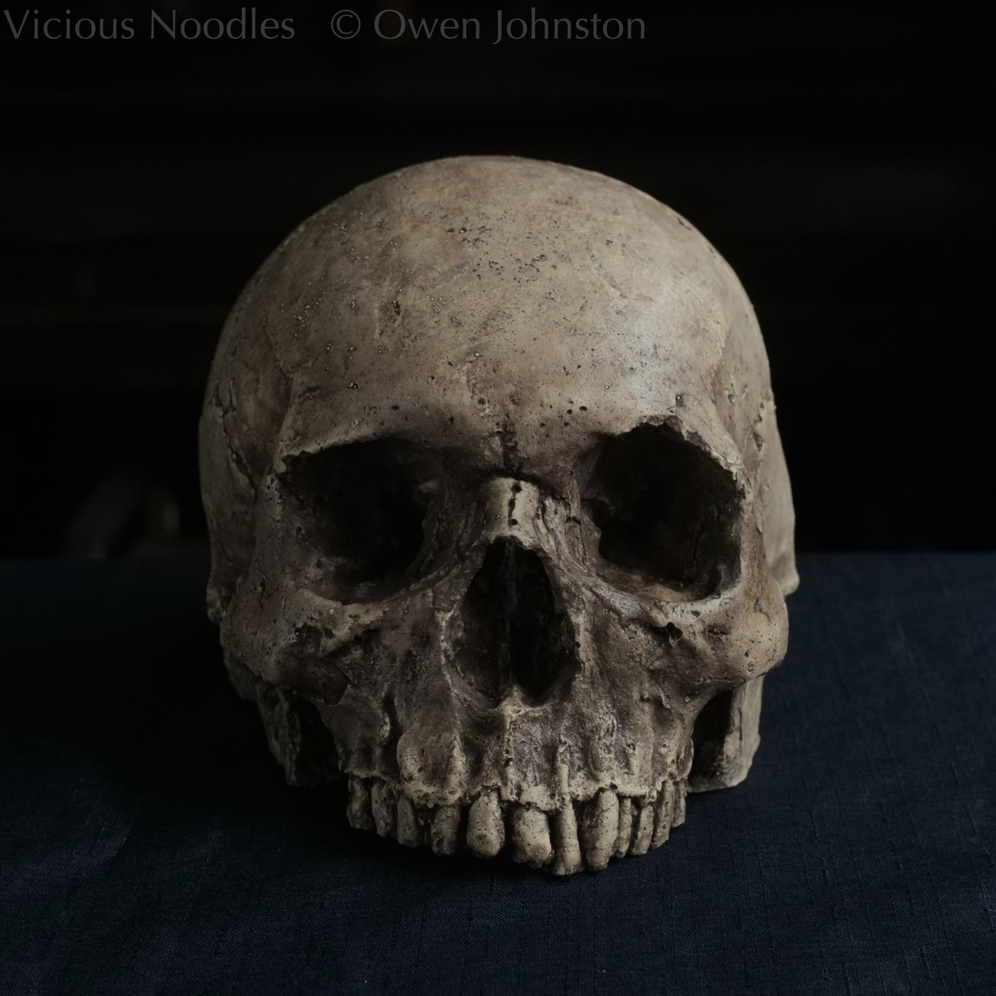 Human skull replica without jaw, life size, warm ivory bone colour with dark weathering, finished with lacquer.