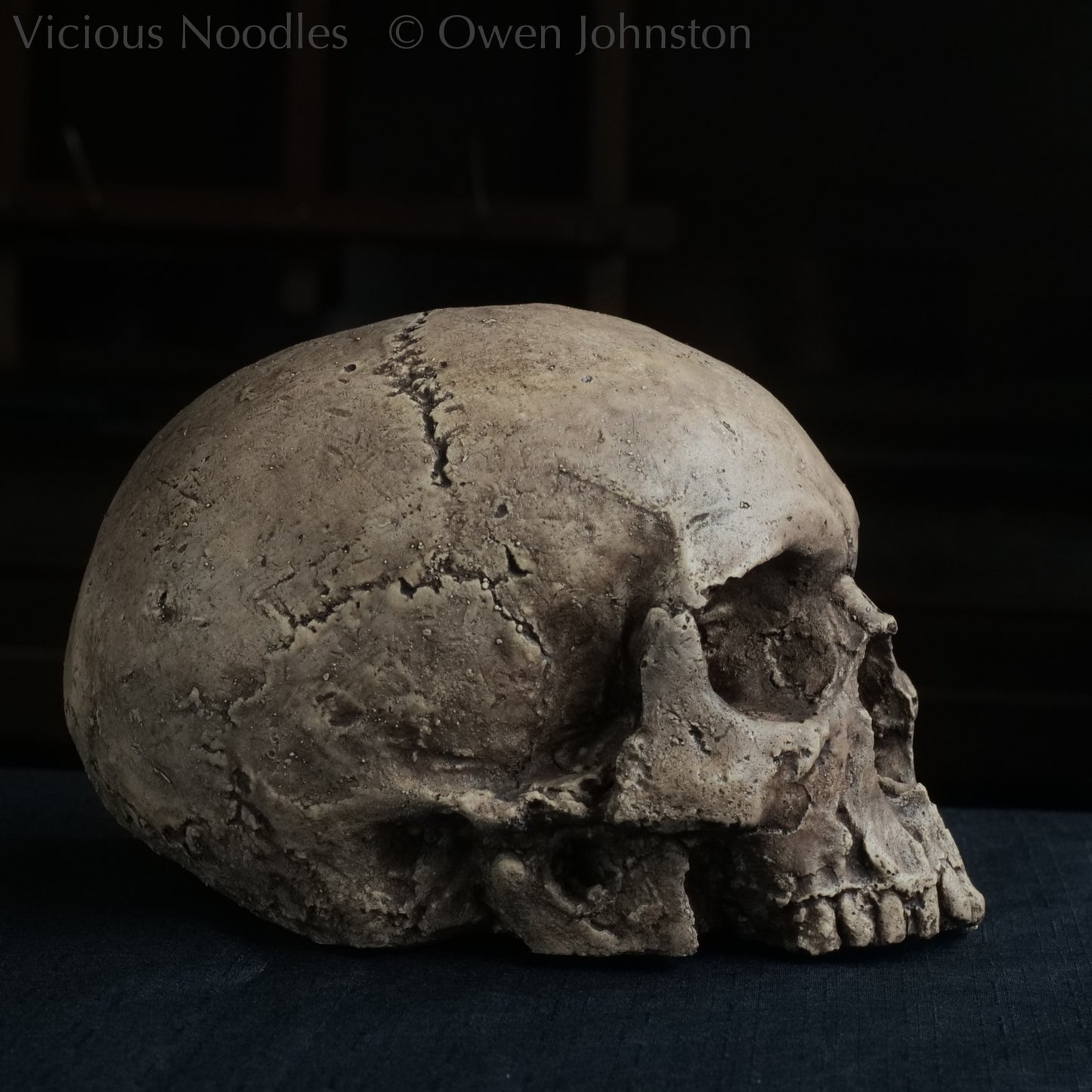 Human skull replica without jaw, life size, warm ivory bone colour with dark weathering, finished with lacquer.