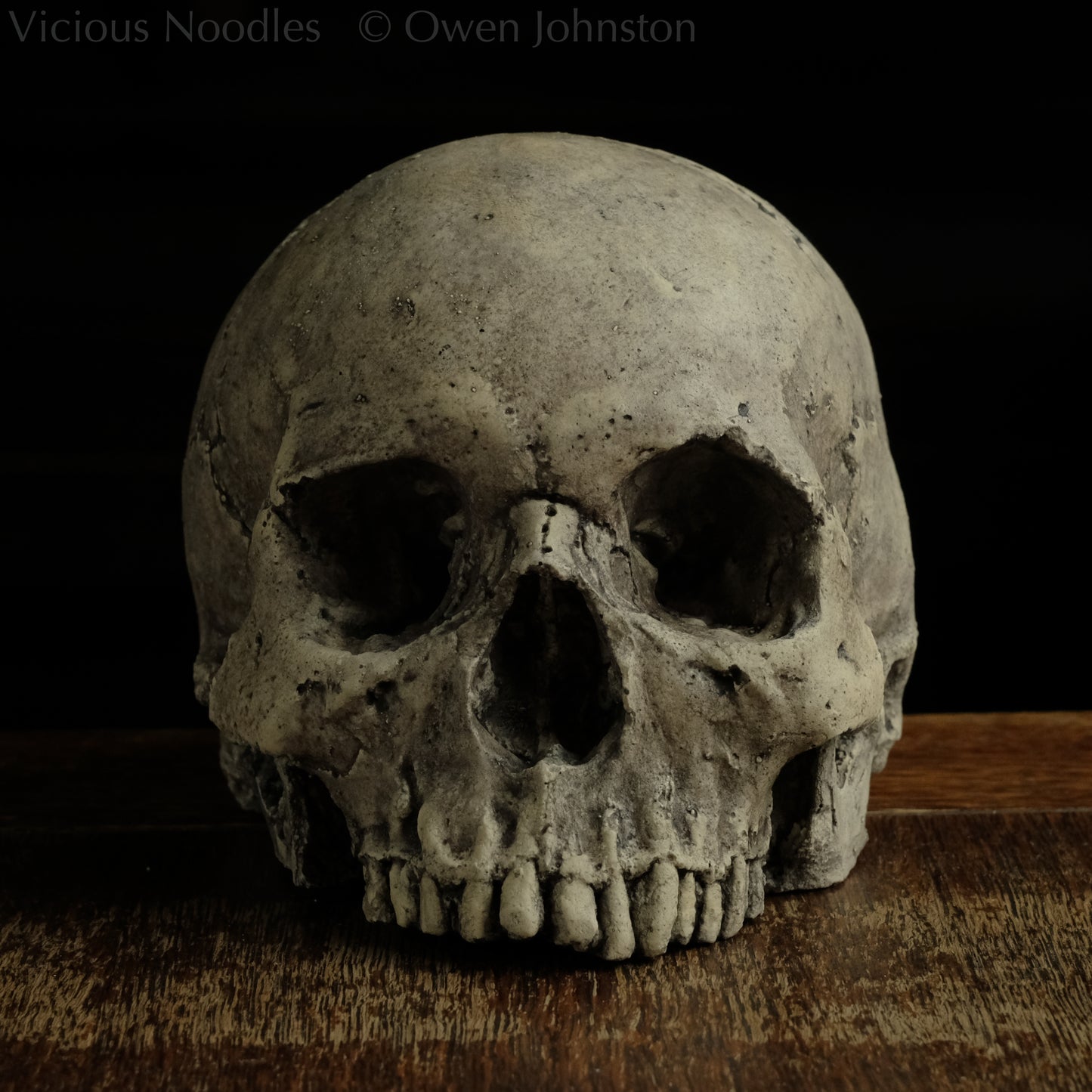 Human skull replica without jaw, life size, warm ivory bone colour with dark weathering, finished with lacquer.