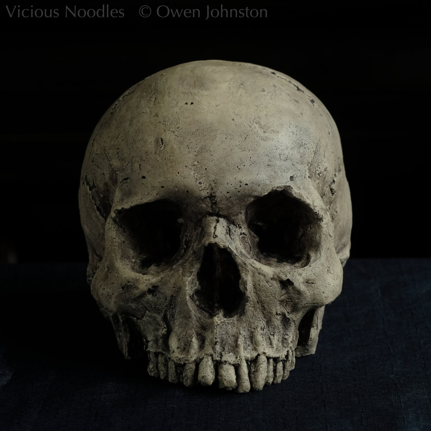 Human skull replica without jaw, life size, warm ivory bone colour with dark weathering, finished with lacquer.