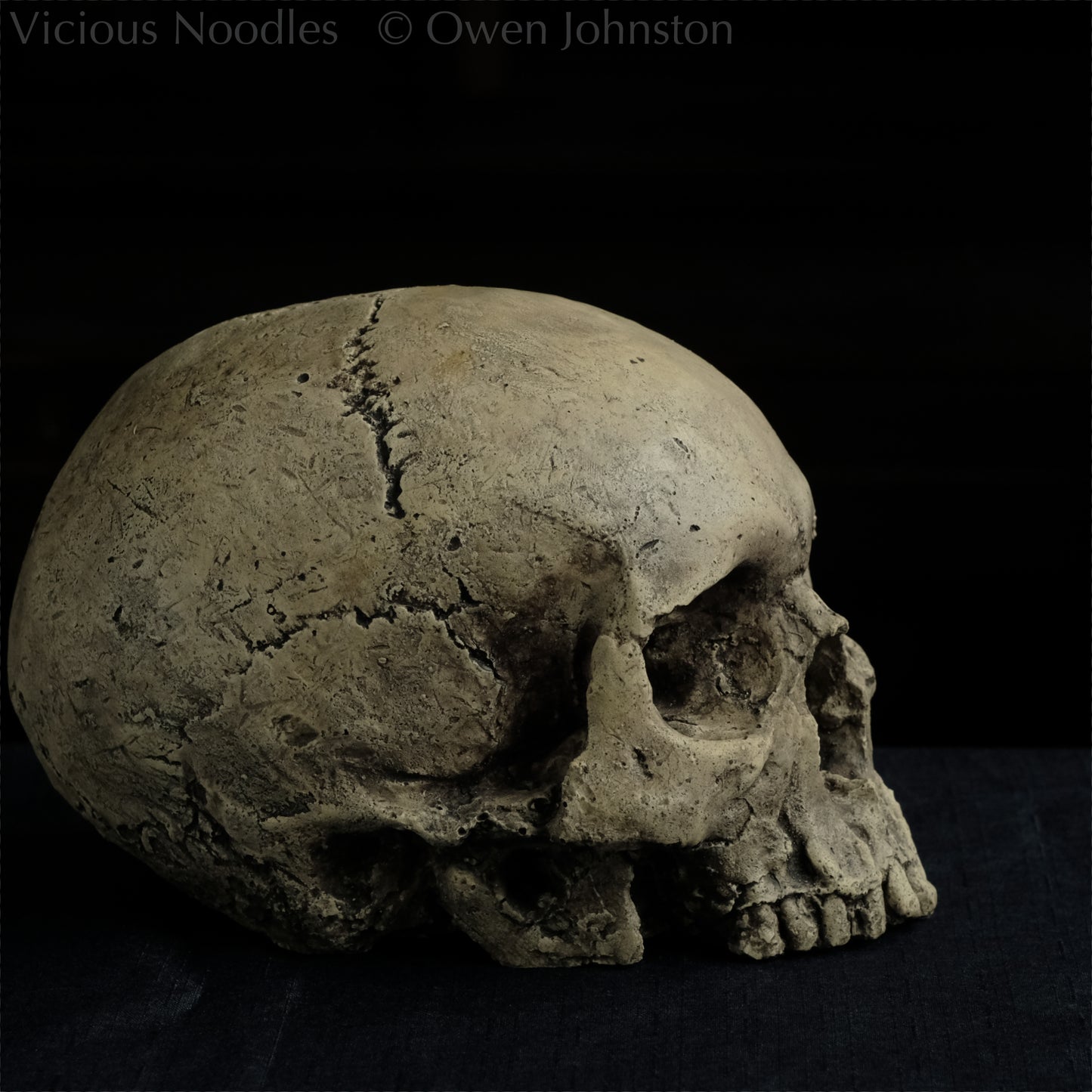 Human skull replica without jaw, life size, warm ivory bone colour with dark weathering, finished with lacquer.