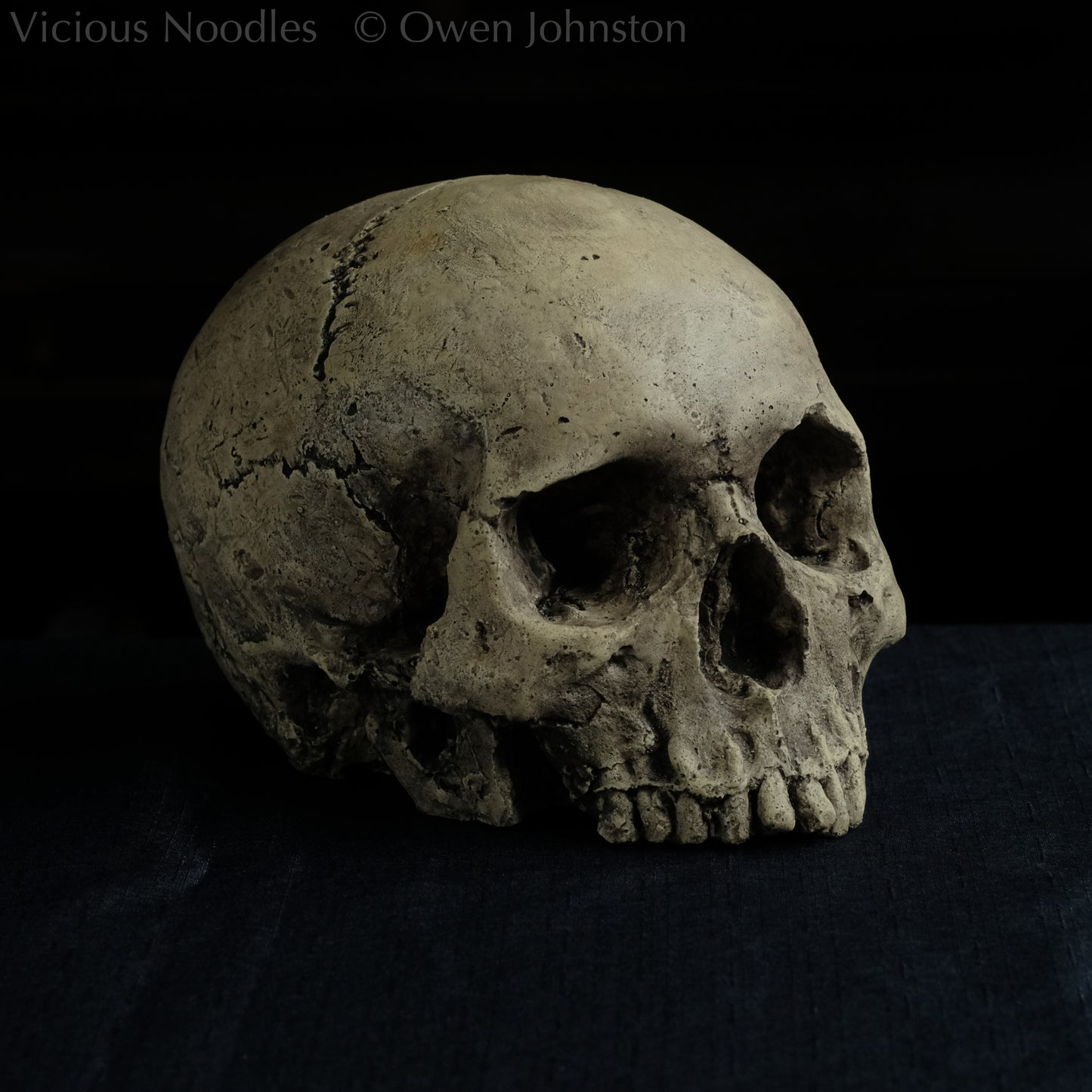 Human skull replica without jaw, life size, warm ivory bone colour with dark weathering, finished with lacquer.