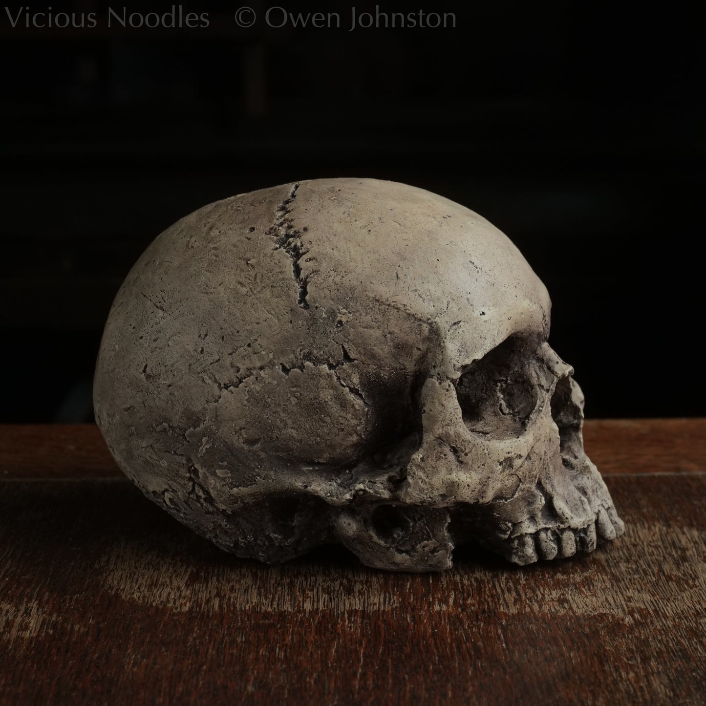 Human skull replica without jaw, life size, warm ivory bone colour with dark weathering, finished with lacquer.
