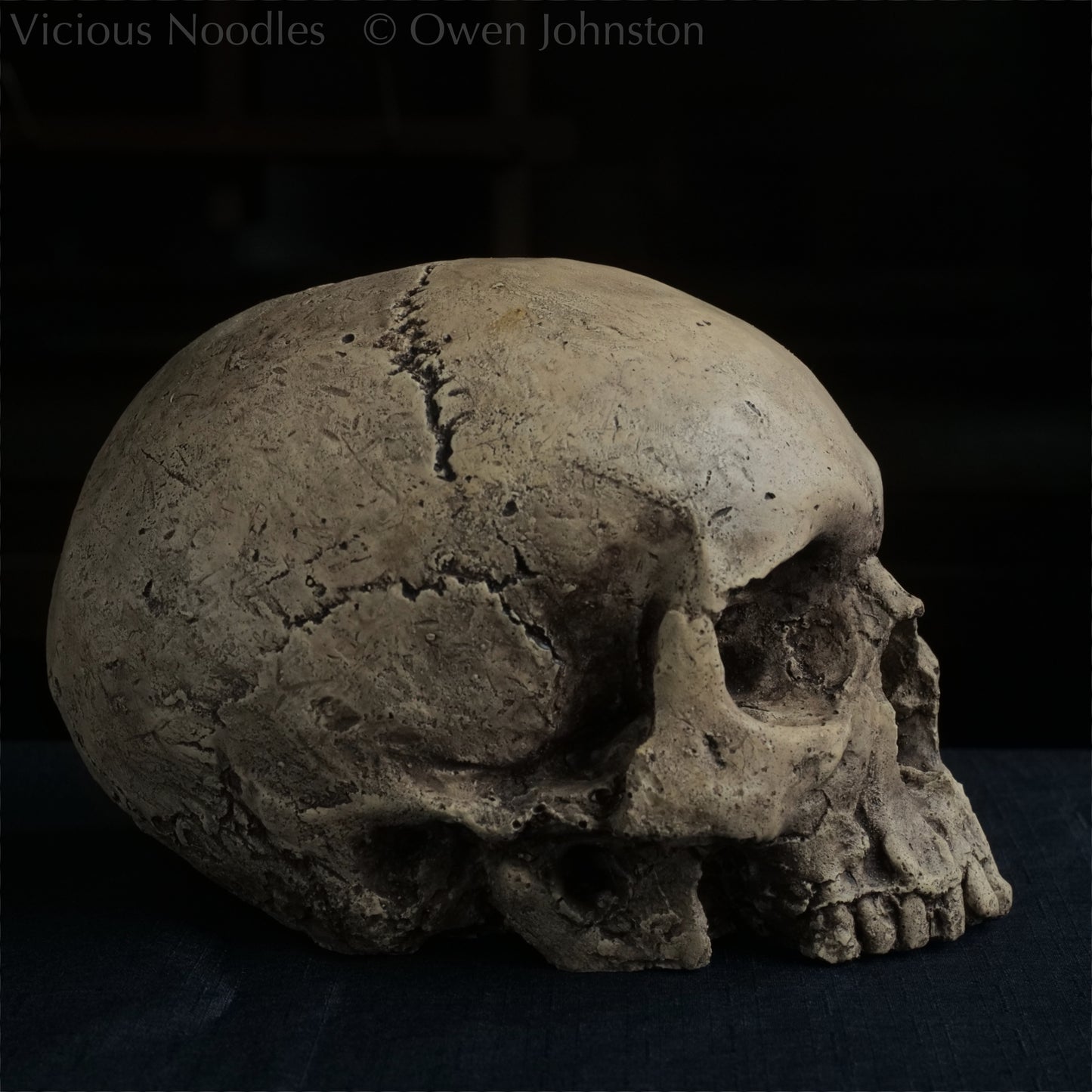 Human skull replica without jaw, life size, warm ivory bone colour with dark weathering, finished with lacquer.
