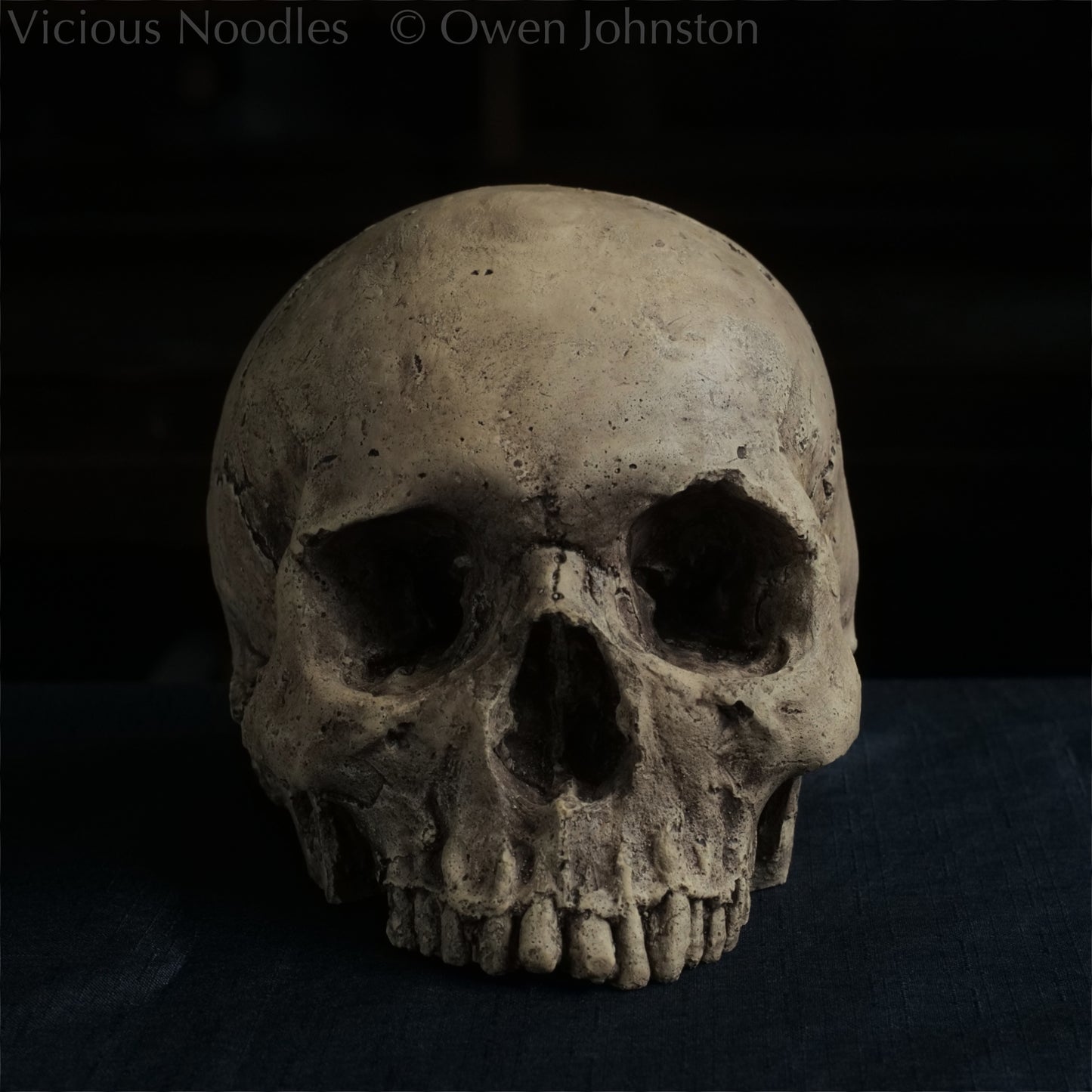 Human skull replica without jaw, life size, warm ivory bone colour with dark weathering, finished with lacquer.