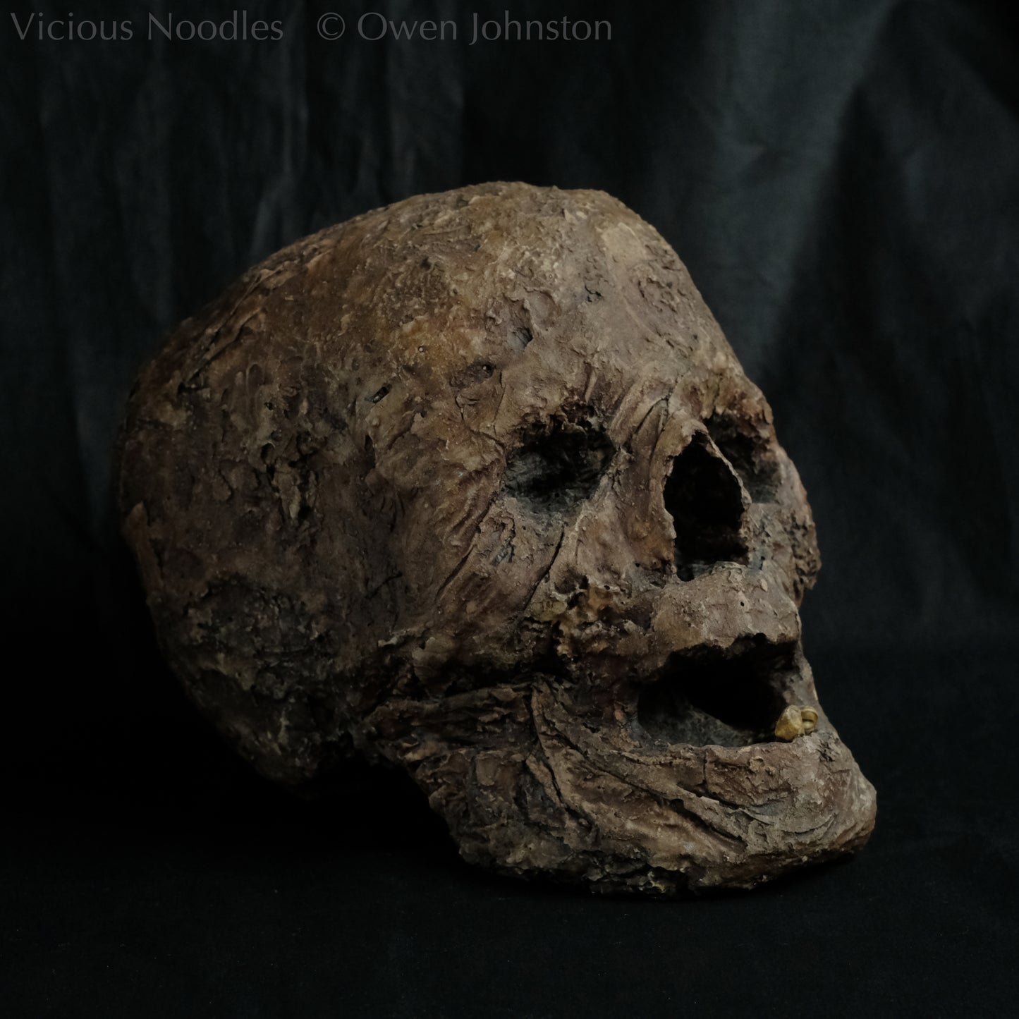 Replica mummified head, life size. It looks decomposed, the nose is missing and one eye socket is empty revealing the skull beneath, the mouth is gaping open to reveal two remaining teeth. It is painted to look ancient and realistic in various shades of brown.
