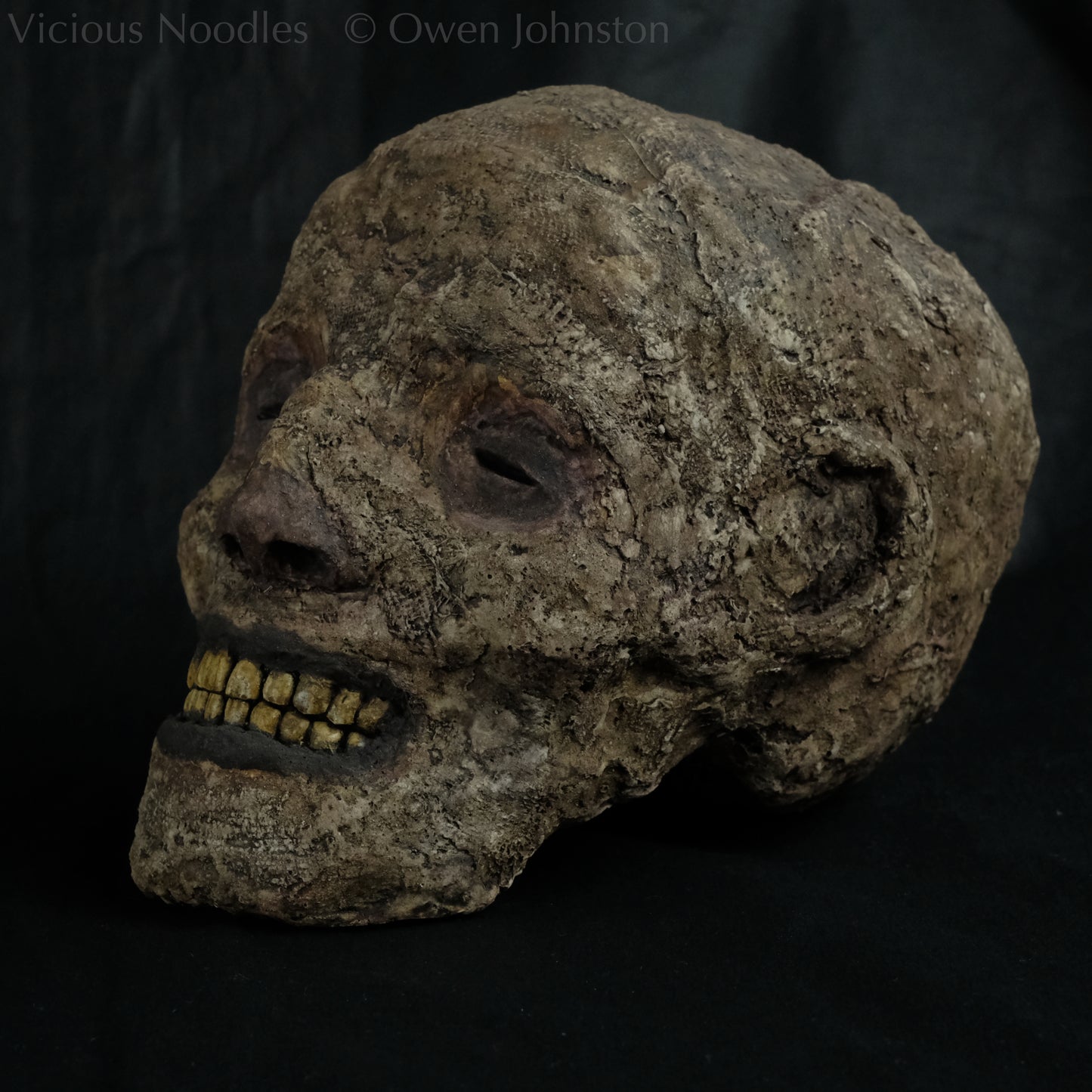 Replica mummified head, life size. It is well preserved, with nose and ears and a full set of yellowed teeth, and it is covered in bandages and fabric which appears highly aged and is painted various shades of brown. The skin features (eyes, nose, lips, ears) are painted deep brown.