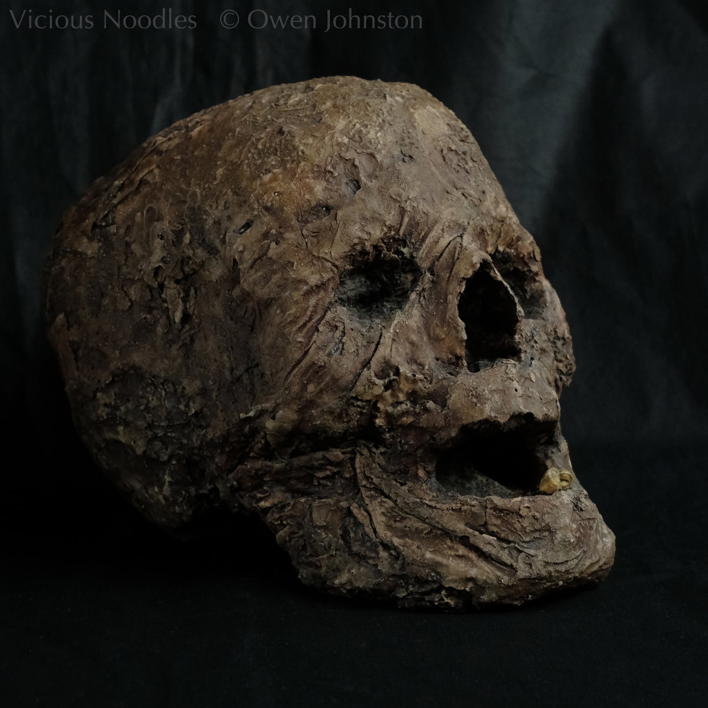 Replica mummified head, life size. It looks decomposed, the nose is missing and one eye socket is empty revealing the skull beneath, the mouth is gaping open to reveal two remaining teeth. It is painted to look ancient and realistic in various shades of brown.