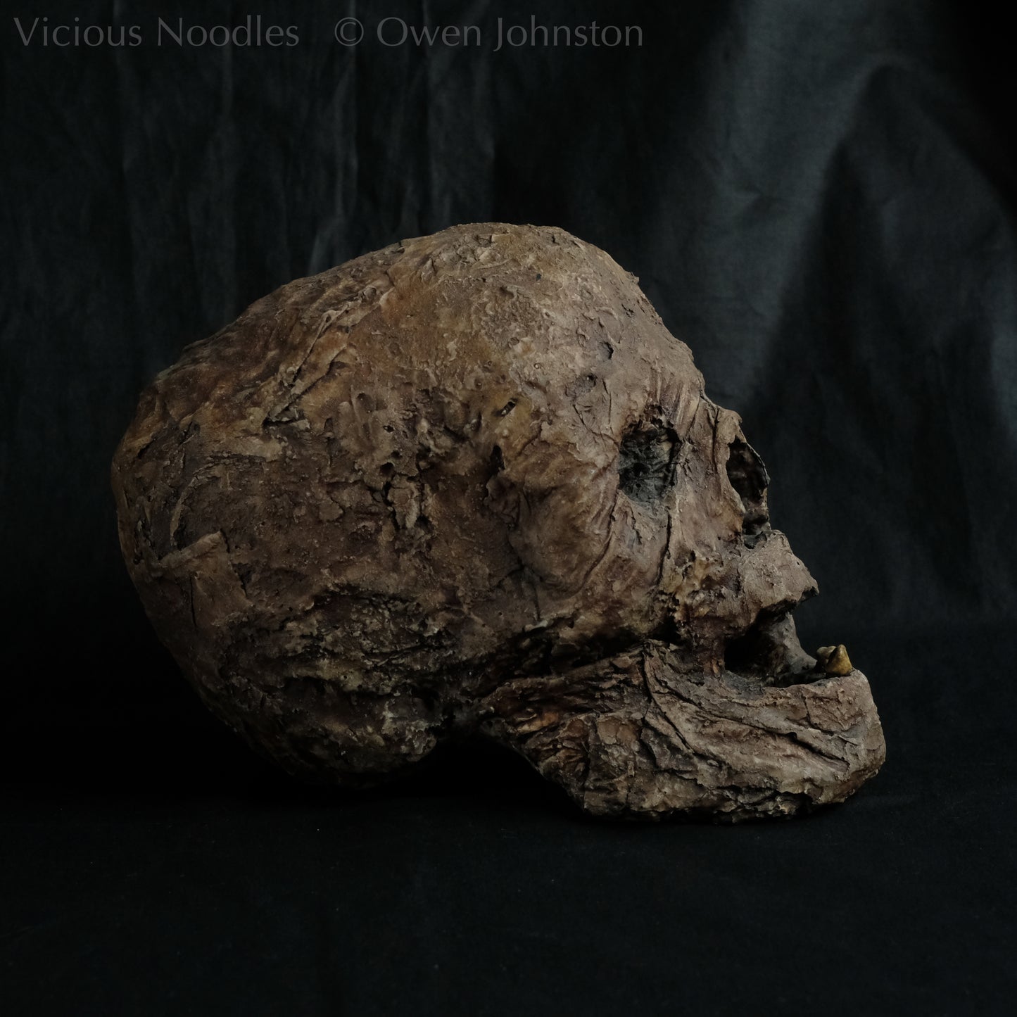 Replica mummified head, life size. It looks decomposed, the nose is missing and one eye socket is empty revealing the skull beneath, the mouth is gaping open to reveal two remaining teeth. It is painted to look ancient and realistic in various shades of brown.