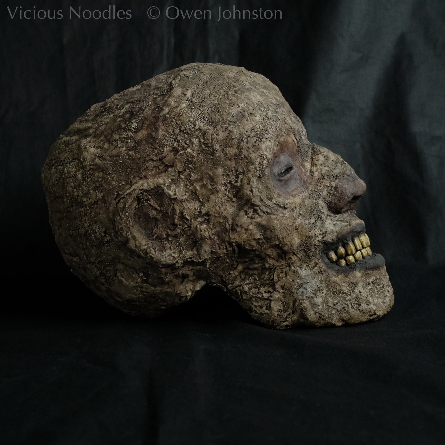 Replica mummified head, life size. It is well preserved, with nose and ears and a full set of yellowed teeth, and it is covered in bandages and fabric which appears highly aged and is painted various shades of brown. The skin features (eyes, nose, lips, ears) are painted deep brown.