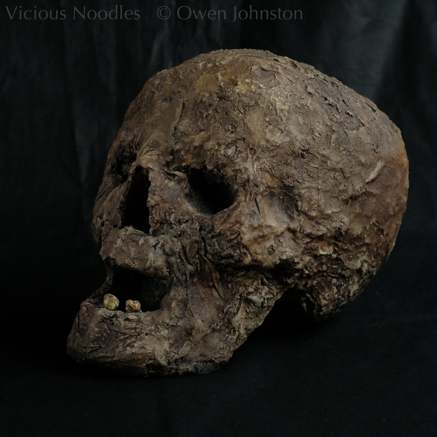 Replica mummified head, life size. It looks decomposed, the nose is missing and one eye socket is empty revealing the skull beneath, the mouth is gaping open to reveal two remaining teeth. It is painted to look ancient and realistic in various shades of brown.