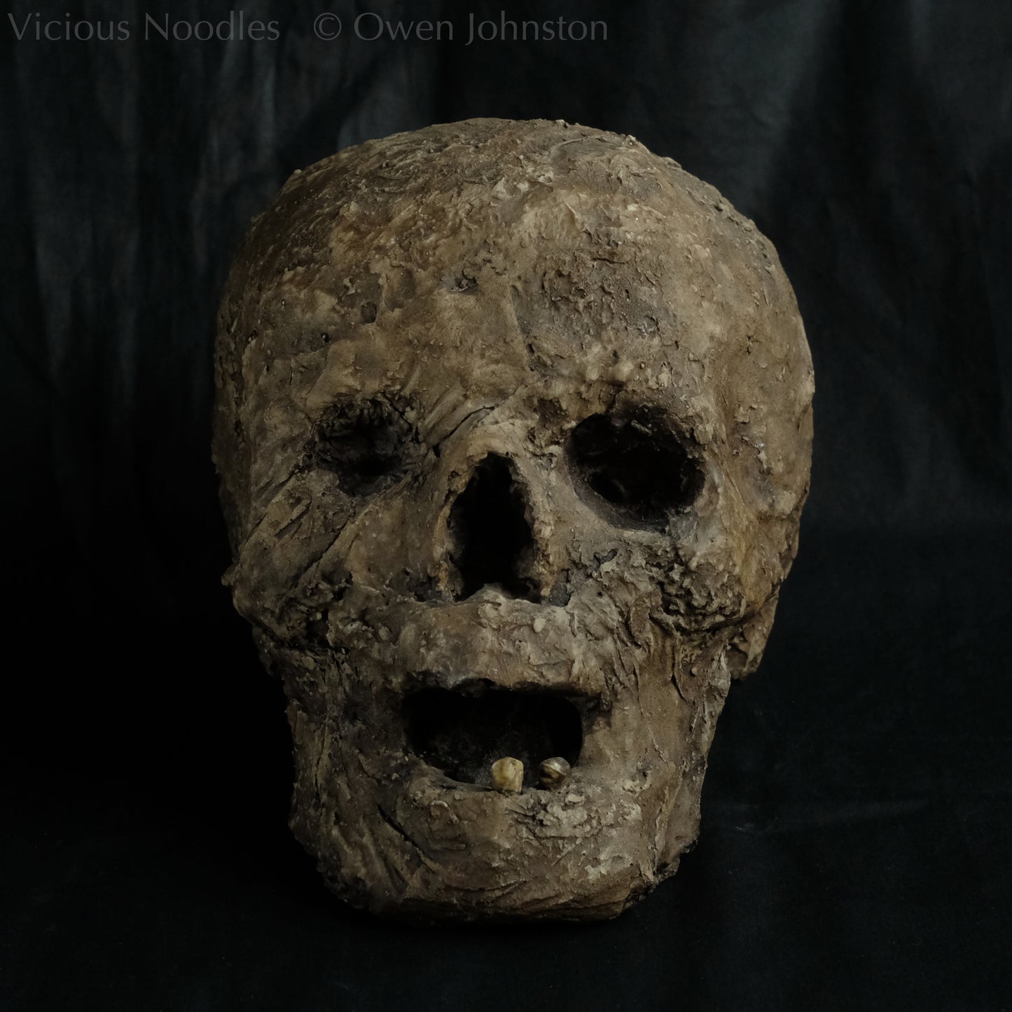 Replica mummified head, life size. It looks decomposed, the nose is missing and one eye socket is empty revealing the skull beneath, the mouth is gaping open to reveal two remaining teeth. It is painted to look ancient and realistic in various shades of brown.