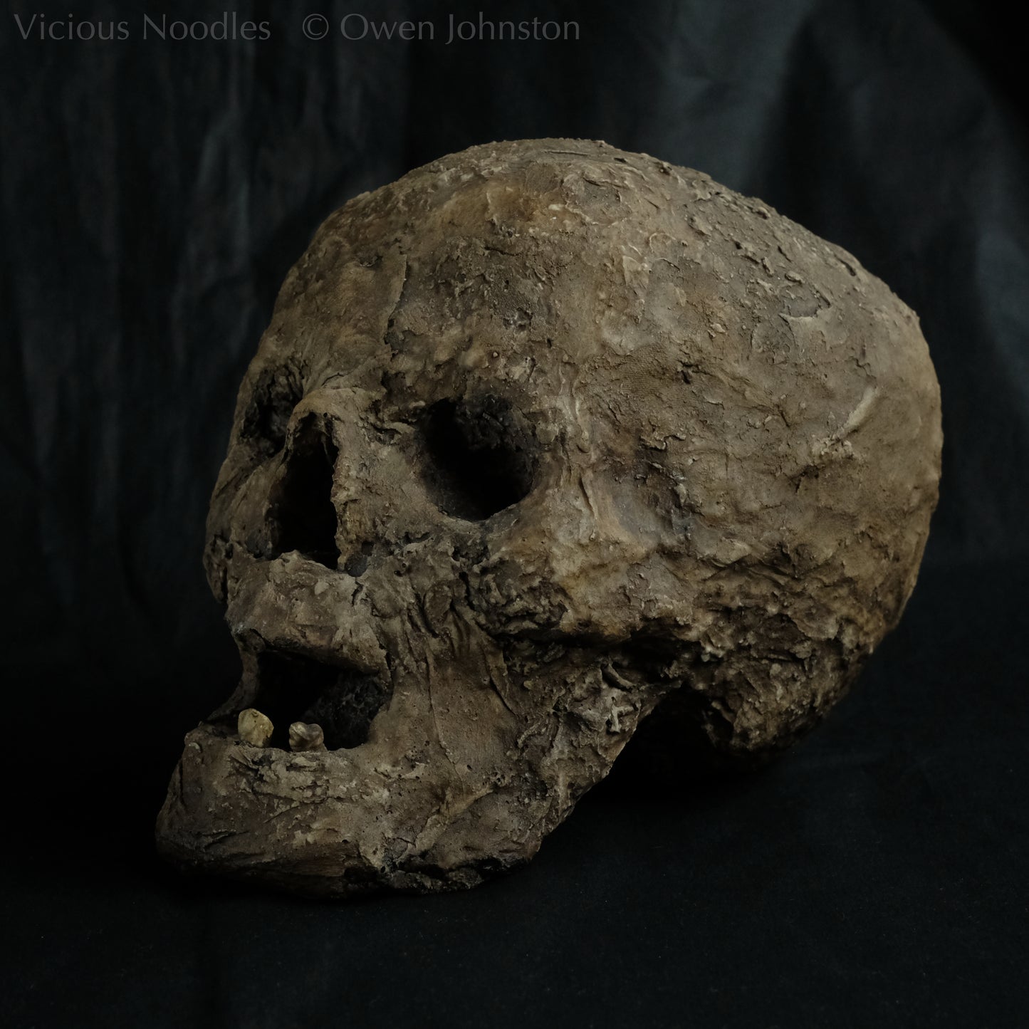 Replica mummified head, life size. It looks decomposed, the nose is missing and one eye socket is empty revealing the skull beneath, the mouth is gaping open to reveal two remaining teeth. It is painted to look ancient and realistic in various shades of brown.