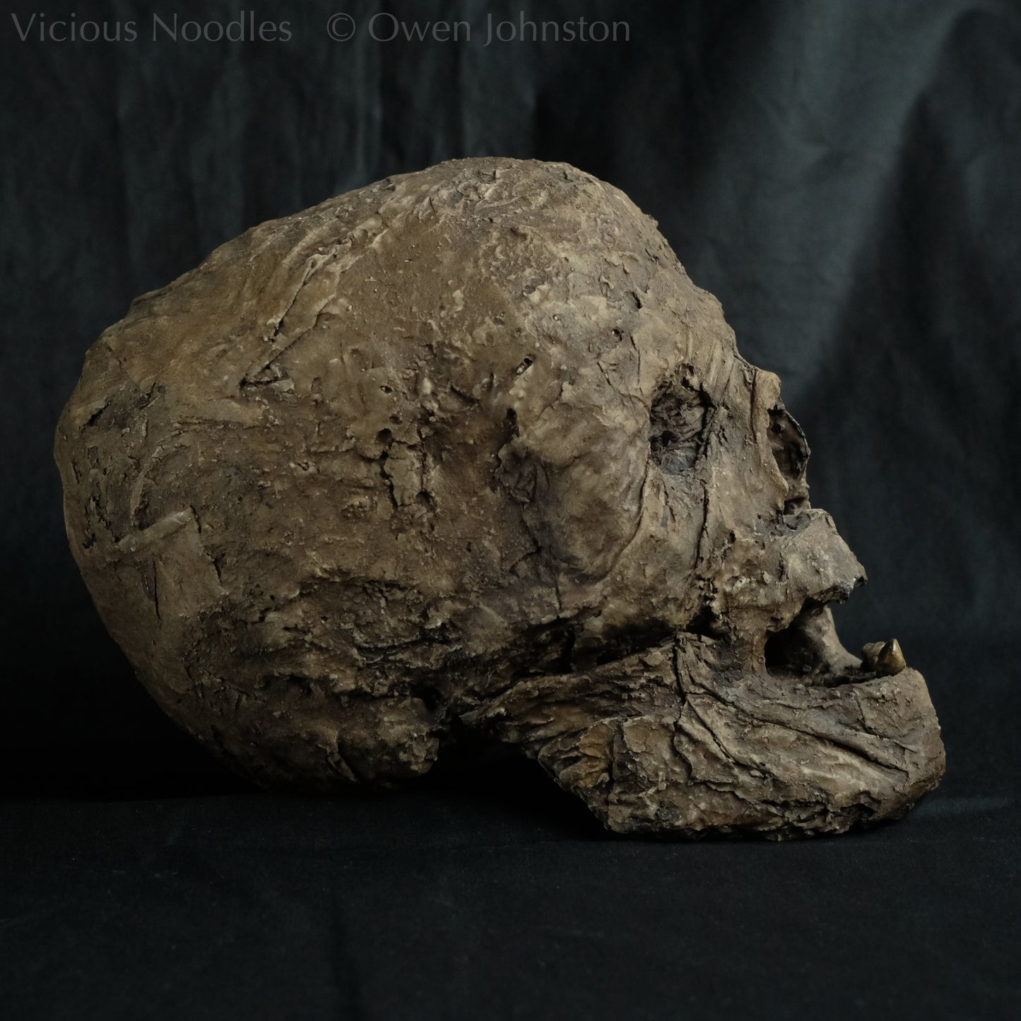 Replica mummified head, life size. It looks decomposed, the nose is missing and one eye socket is empty revealing the skull beneath, the mouth is gaping open to reveal two remaining teeth. It is painted to look ancient and realistic in various shades of brown.