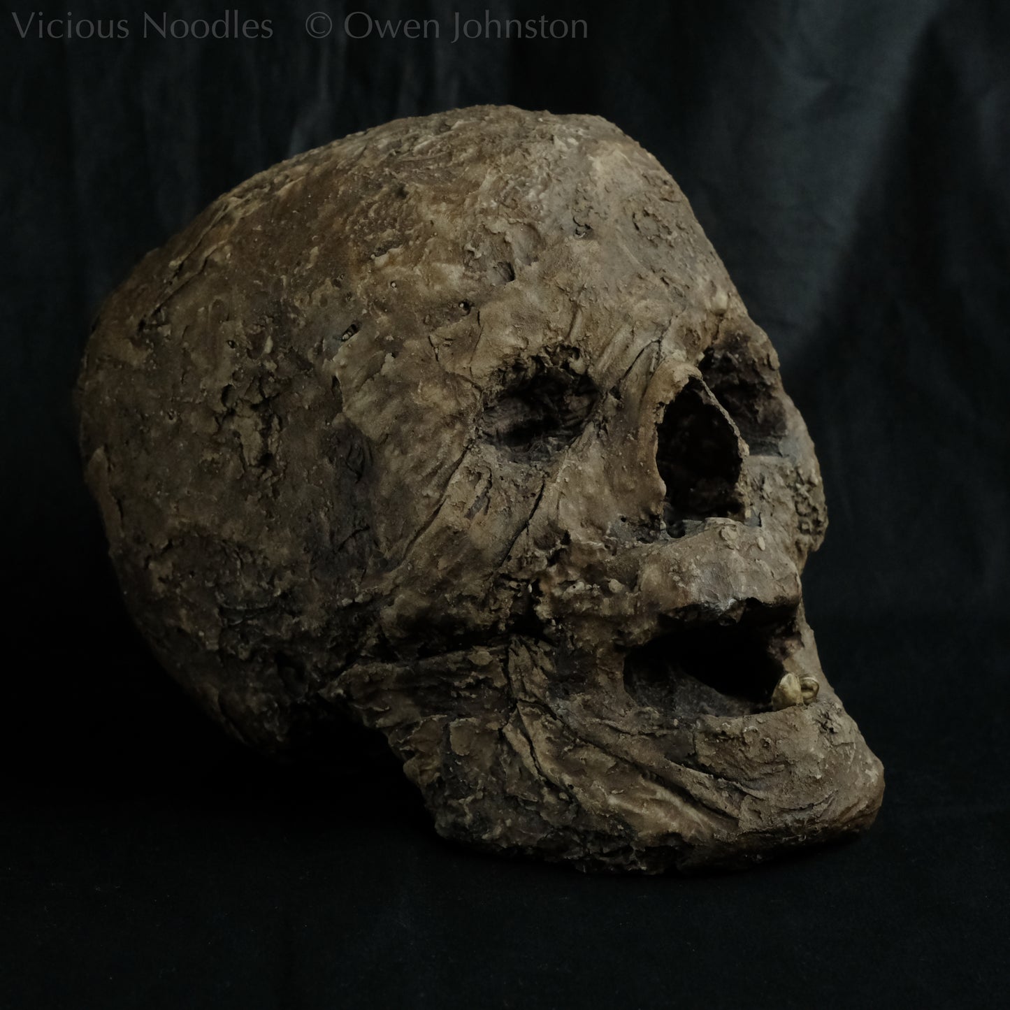 Replica mummified head, life size. It looks decomposed, the nose is missing and one eye socket is empty revealing the skull beneath, the mouth is gaping open to reveal two remaining teeth. It is painted to look ancient and realistic in various shades of brown.