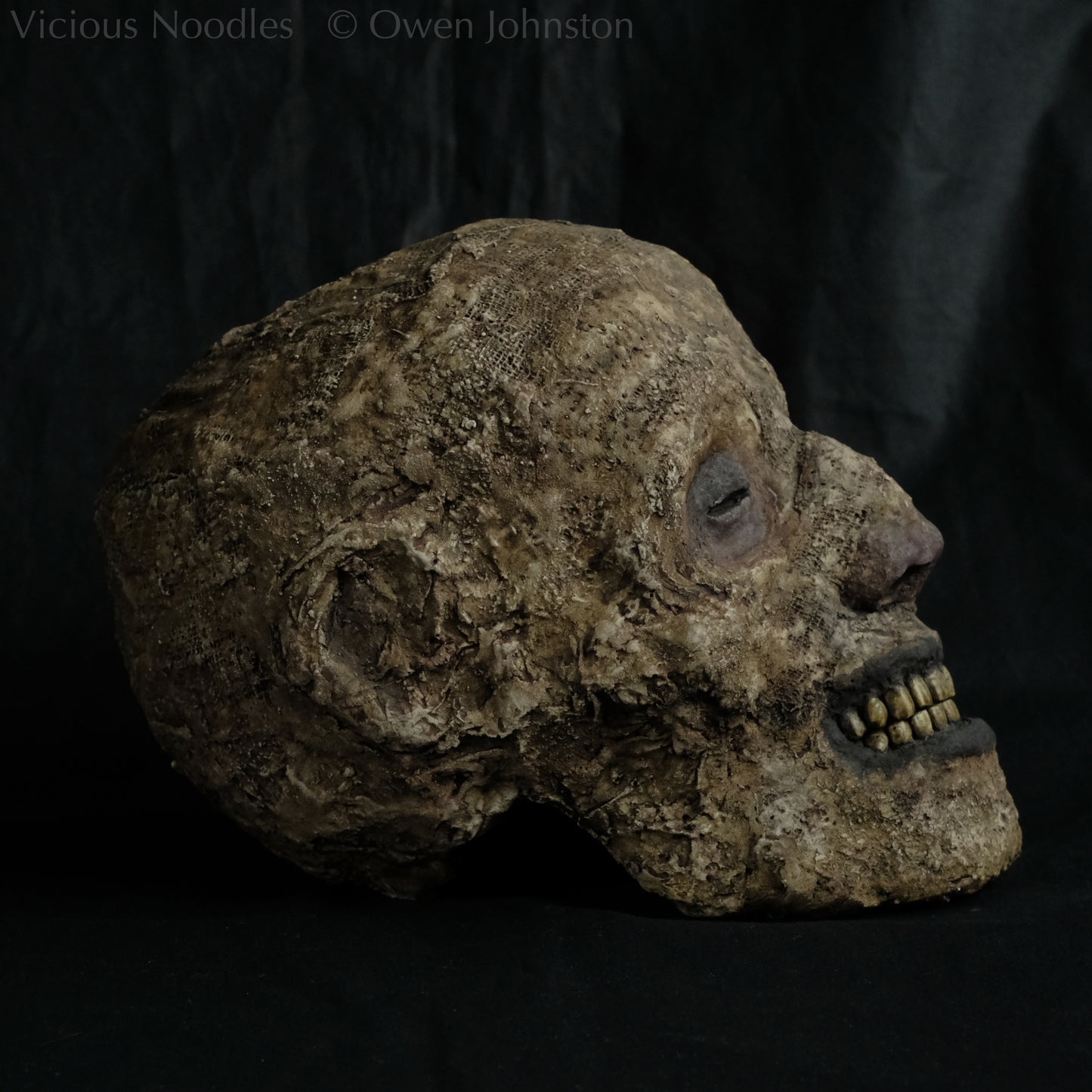 Replica mummified head, life size. It is well preserved, with nose and ears and a full set of yellowed teeth, and it is covered in bandages and fabric which appears highly aged and is painted various shades of brown. The skin features (eyes, nose, lips, ears) are painted deep brown.